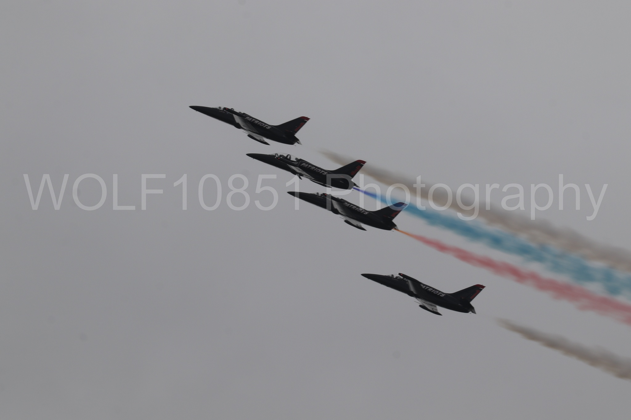 L-39 Albatros | All Black Red lettering | The Patriots Jet Demonstration Team | WOLF10851 Photography