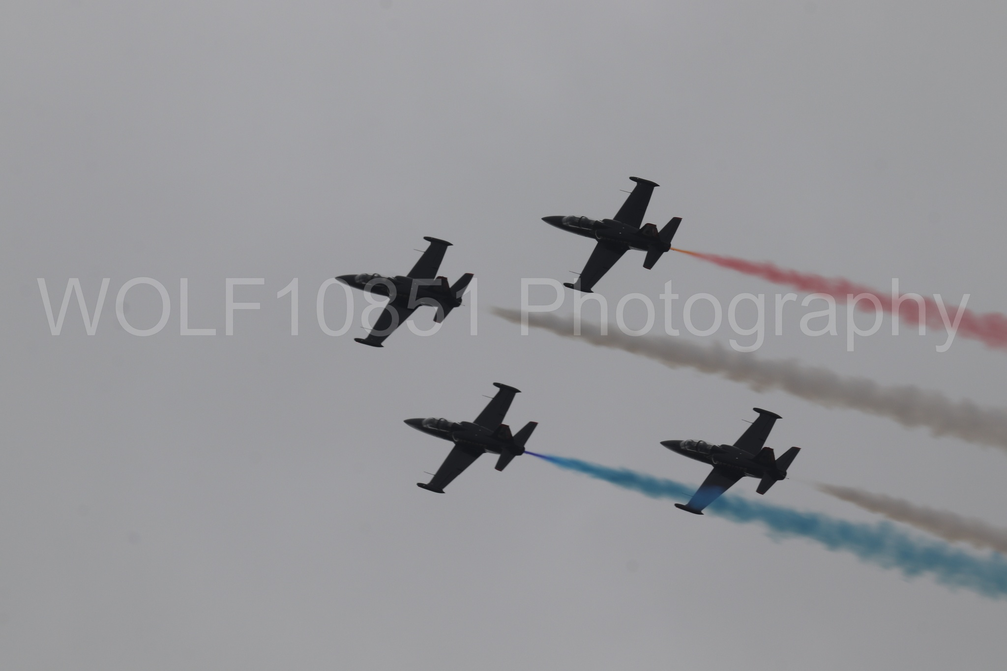 L-39 Albatros | All Black Red lettering | The Patriots Jet Demonstration Team | WOLF10851 Photography