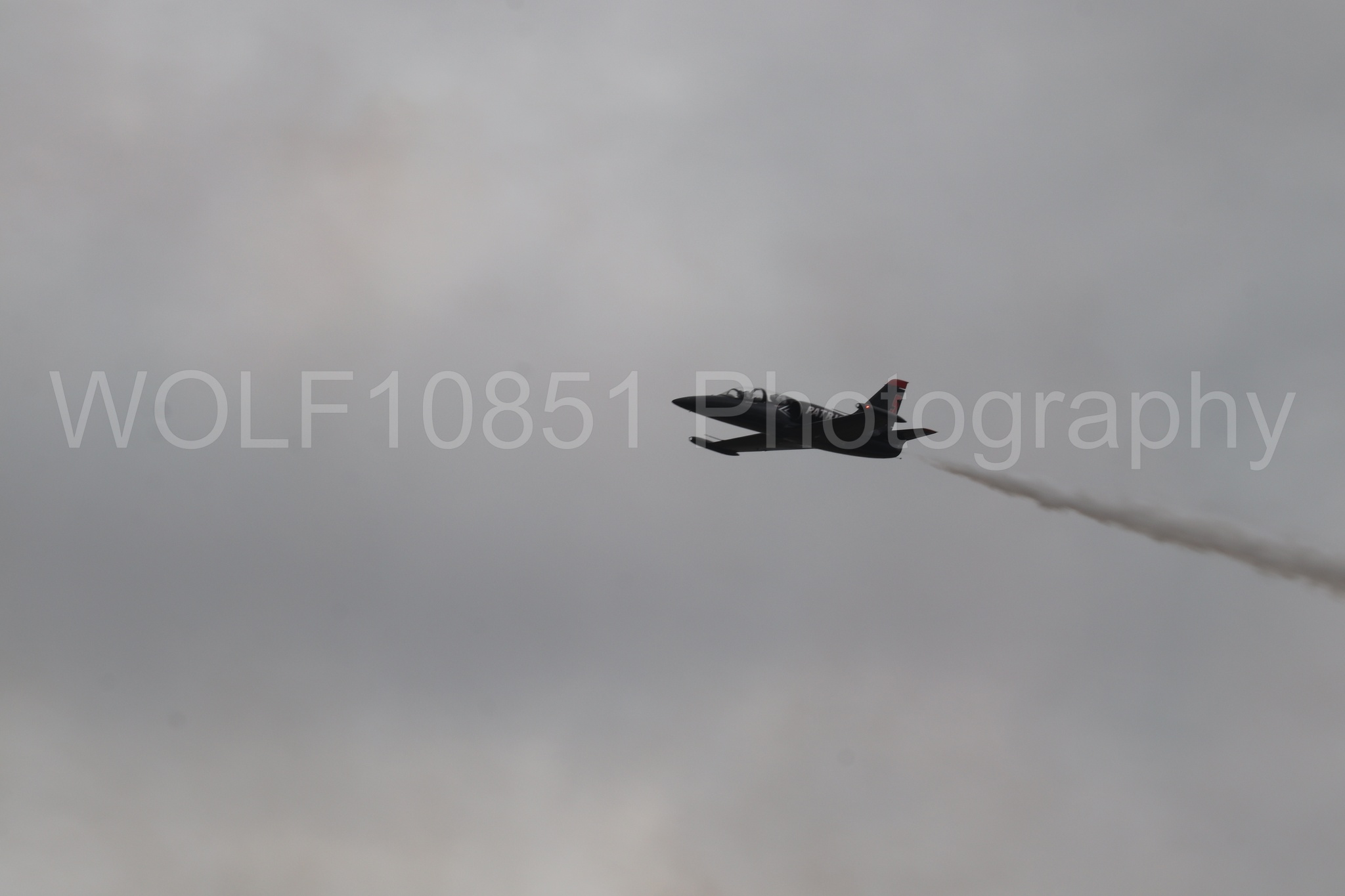 L-39 Albatros | All Black Red lettering | The Patriots Jet Demonstration Team | WOLF10851 Photography