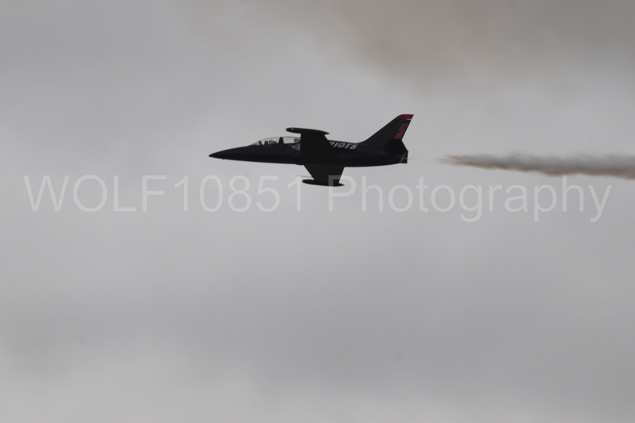L-39 Albatros | All Black Red lettering | The Patriots Jet Demonstration Team | WOLF10851 Photography