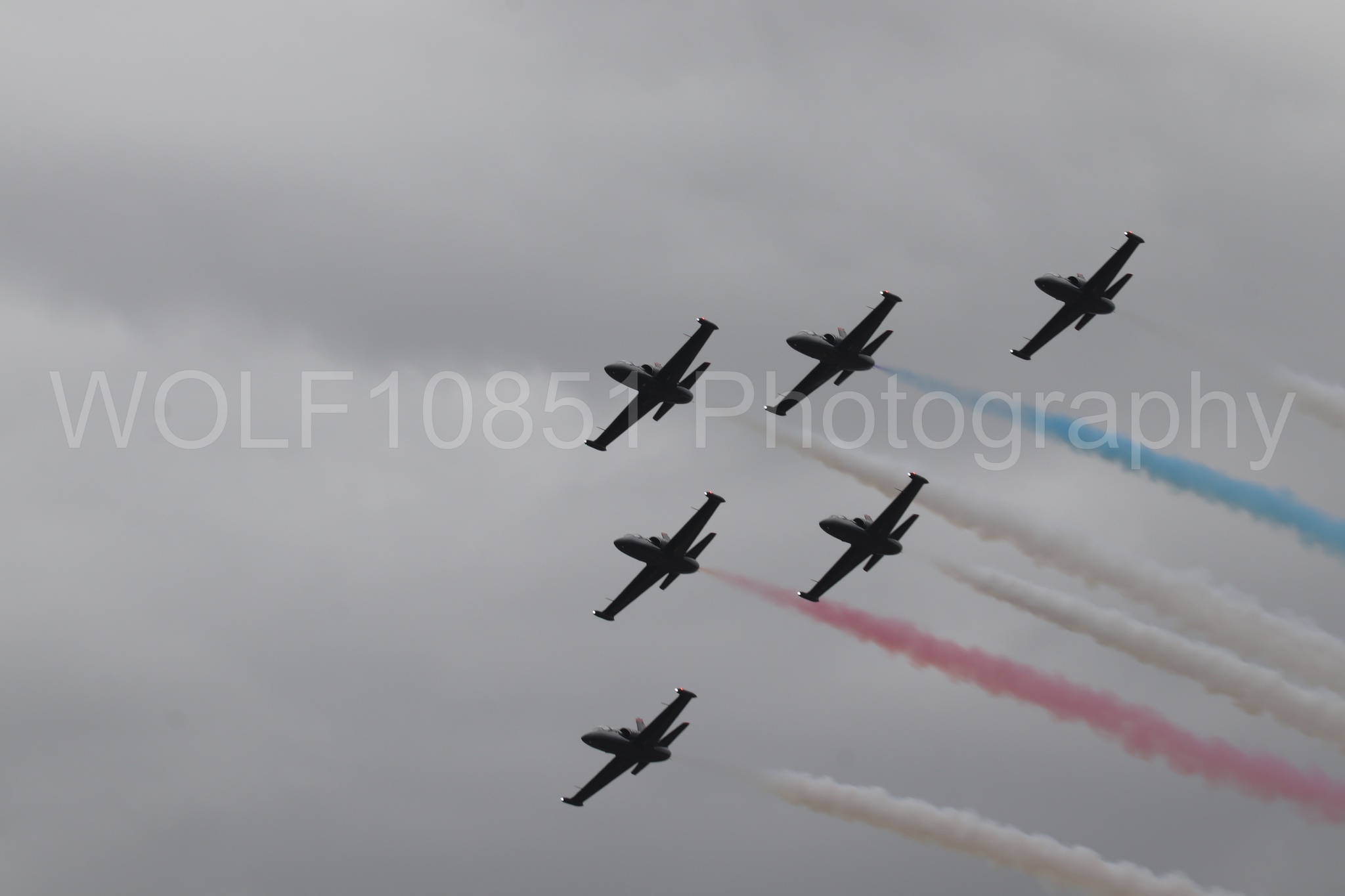 L-39 Albatros | All Black Red lettering | The Patriots Jet Demonstration Team | WOLF10851 Photography
