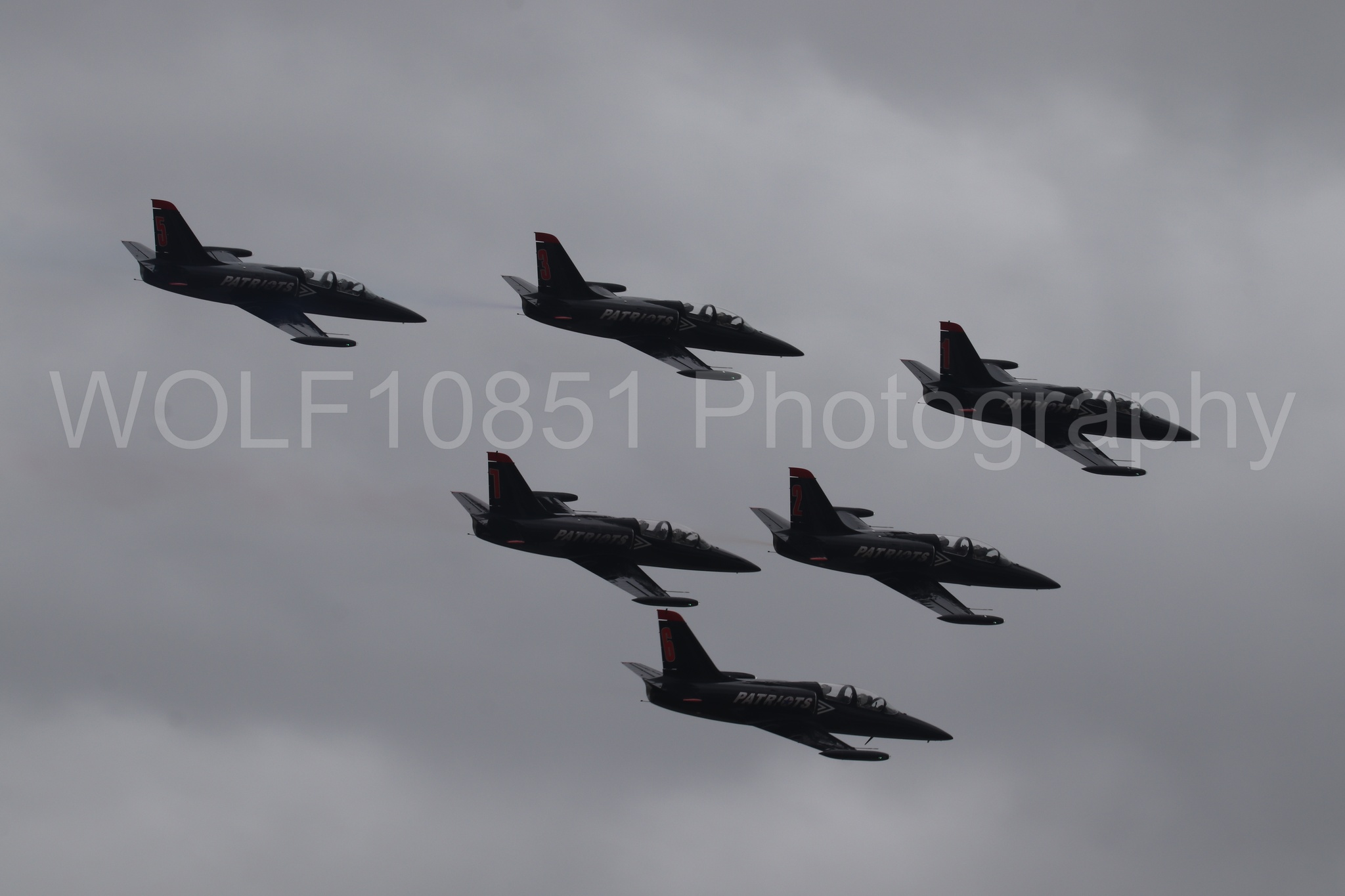 L-39 Albatros | All Black Red lettering | The Patriots Jet Demonstration Team | WOLF10851 Photography