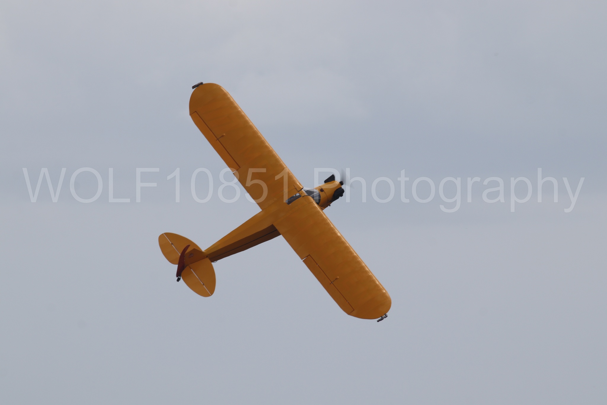 Piper J-3 Cub | Tucker Air Patrol | WOLF10851 Photography