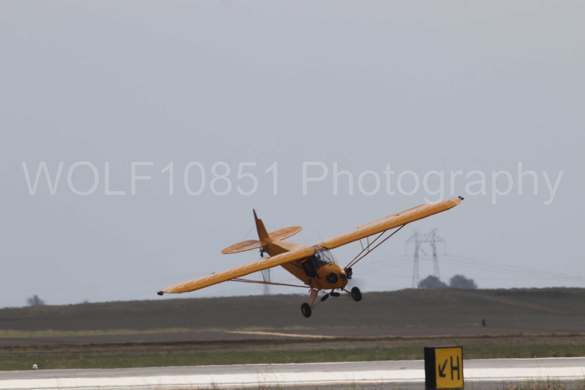 Piper J-3 Cub | Tucker Air Patrol | WOLF10851 Photography