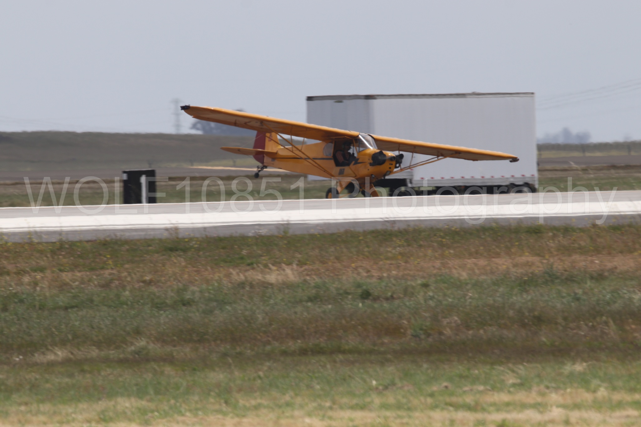 Piper J-3 Cub | Tucker Air Patrol | WOLF10851 Photography