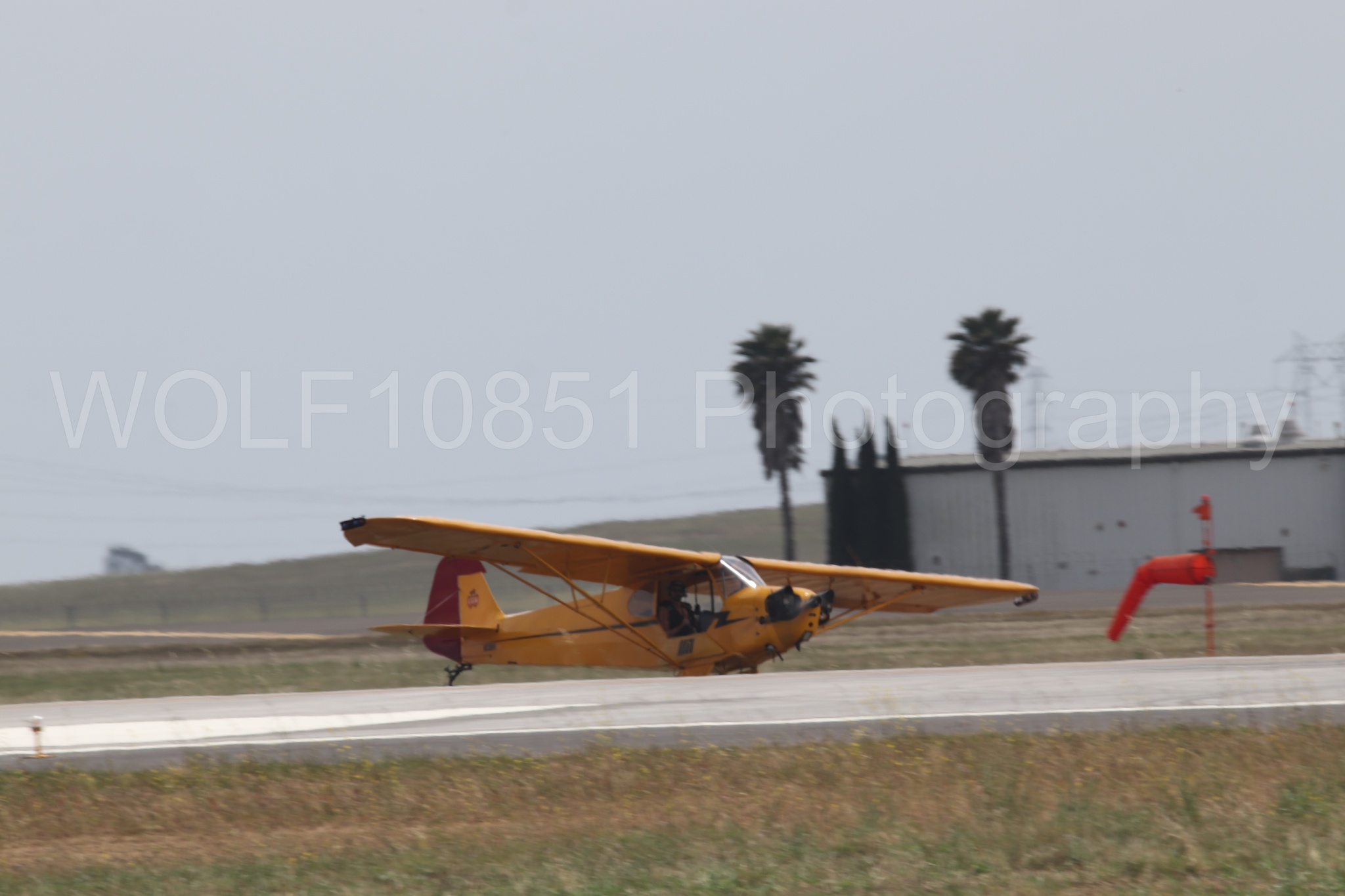 Piper J-3 Cub | Tucker Air Patrol | WOLF10851 Photography