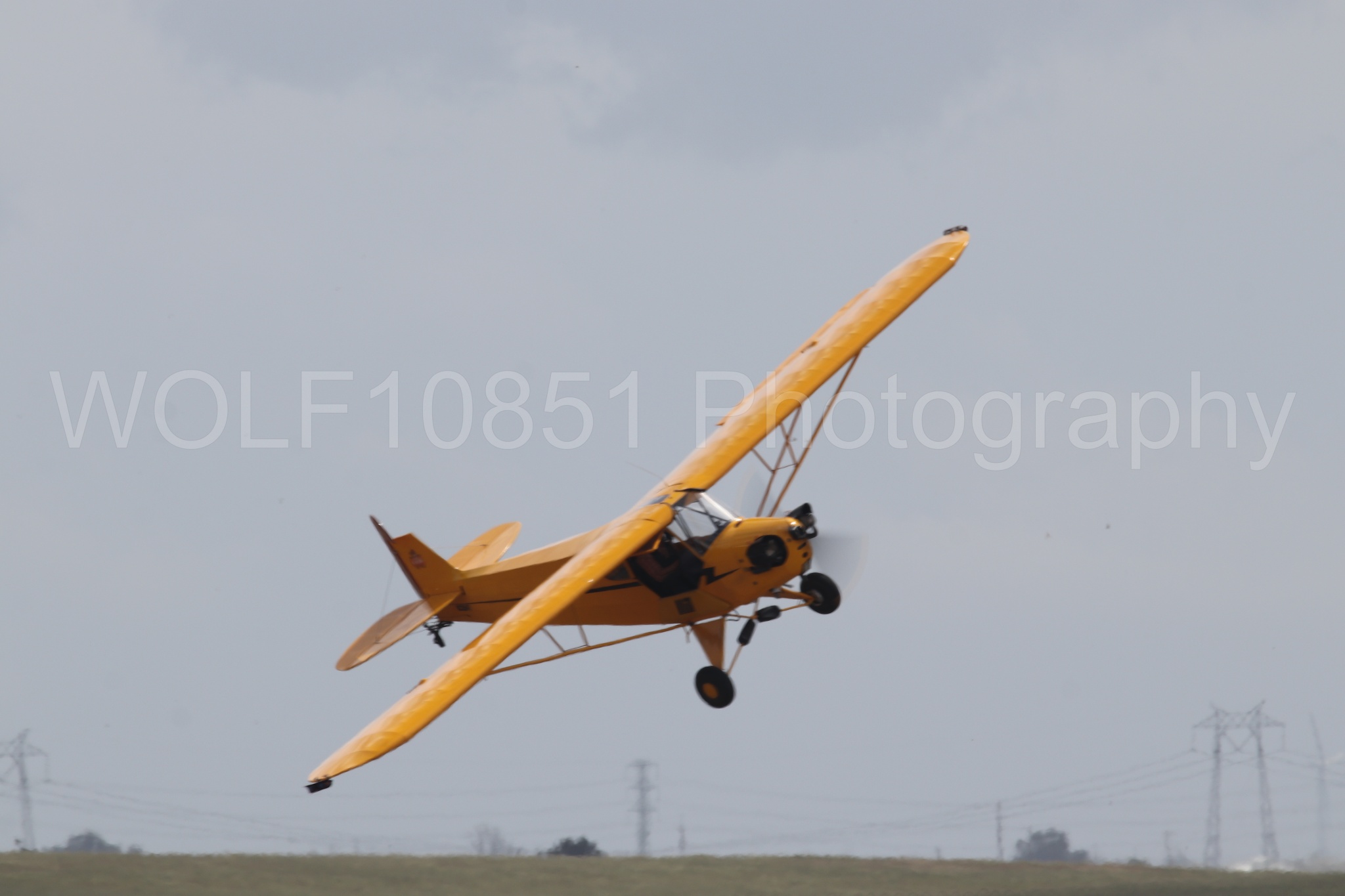 Piper J-3 Cub | Tucker Air Patrol | WOLF10851 Photography