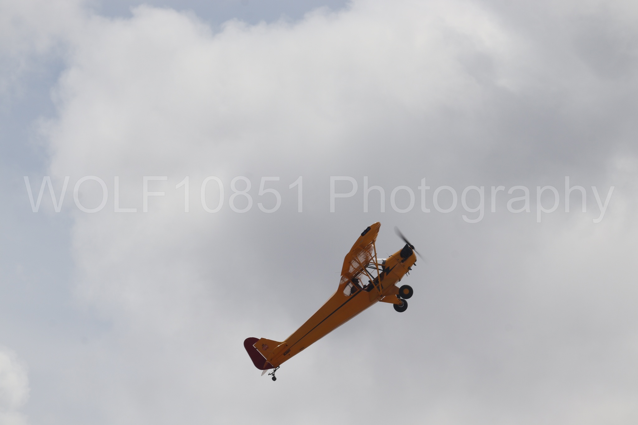 Piper J-3 Cub | Tucker Air Patrol | WOLF10851 Photography