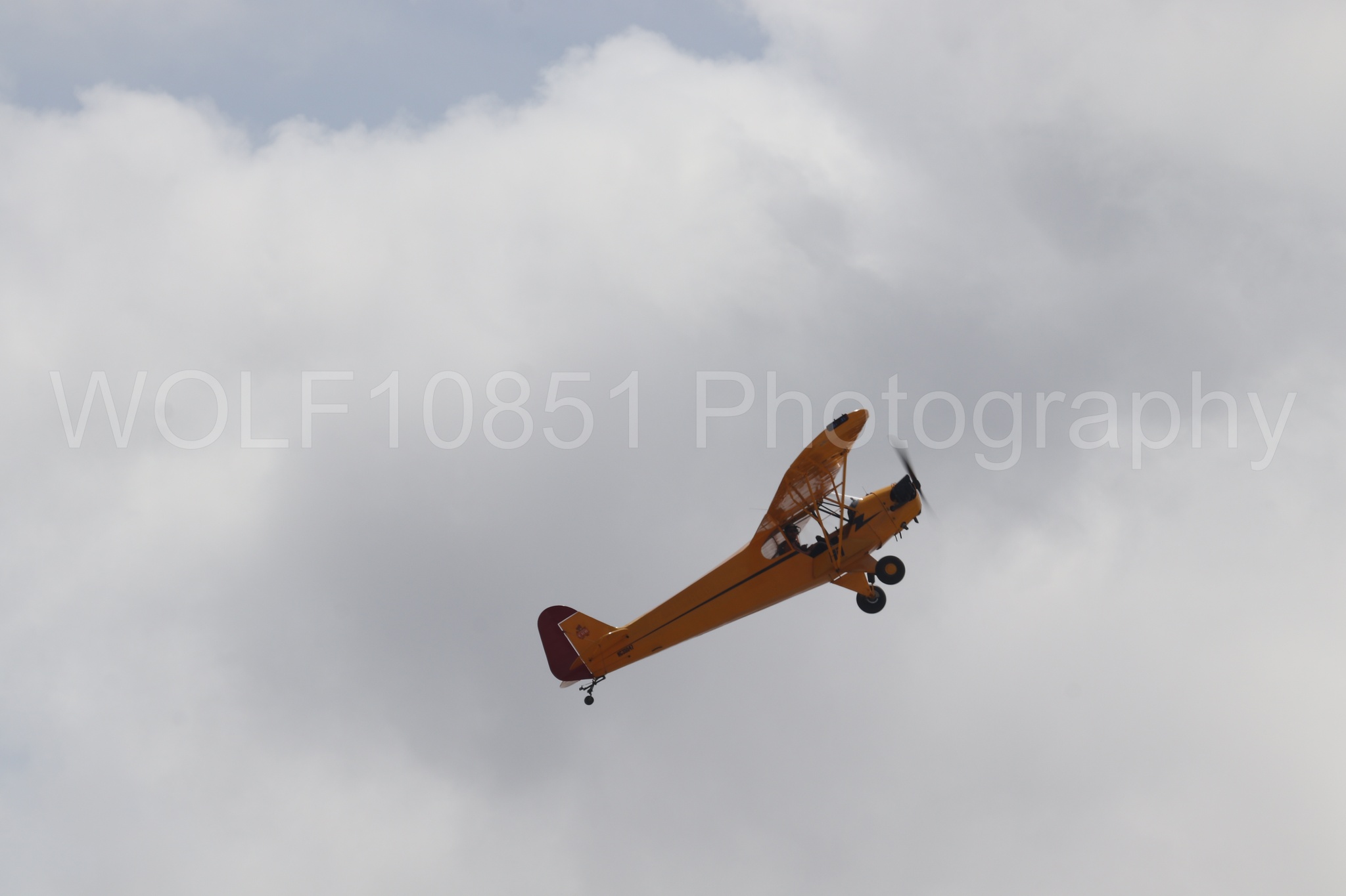 Piper J-3 Cub | Tucker Air Patrol | WOLF10851 Photography