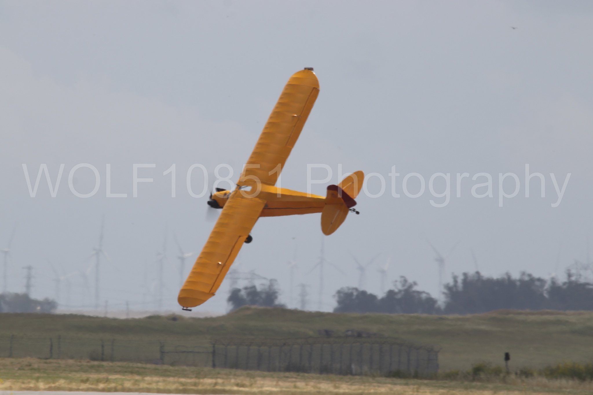 Piper J-3 Cub | Tucker Air Patrol | WOLF10851 Photography