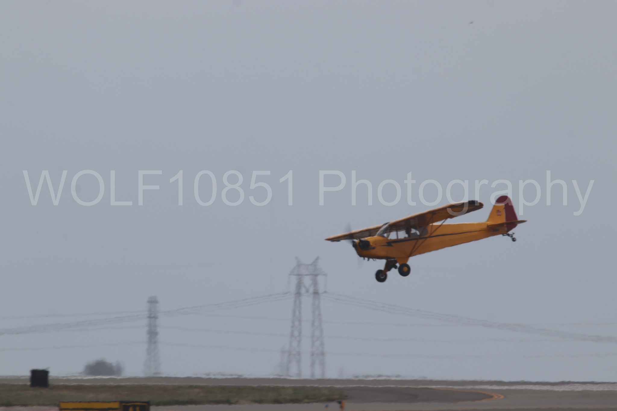Piper J-3 Cub | Tucker Air Patrol | WOLF10851 Photography