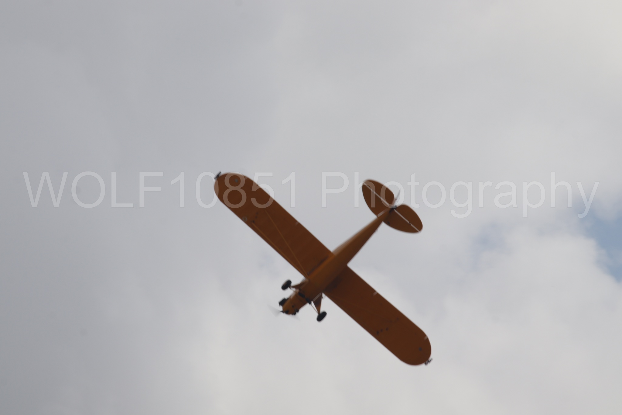 Piper J-3 Cub | Tucker Air Patrol | WOLF10851 Photography
