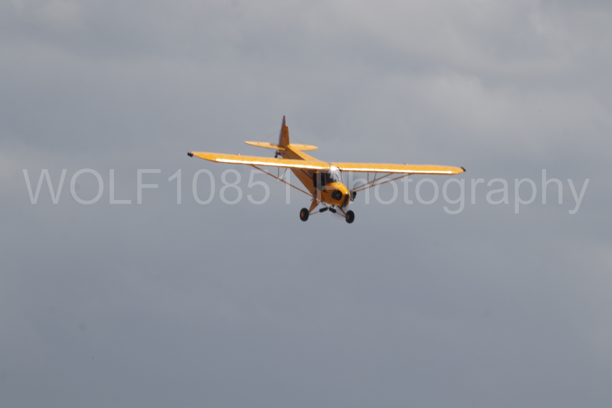 Piper J-3 Cub | Tucker Air Patrol | WOLF10851 Photography