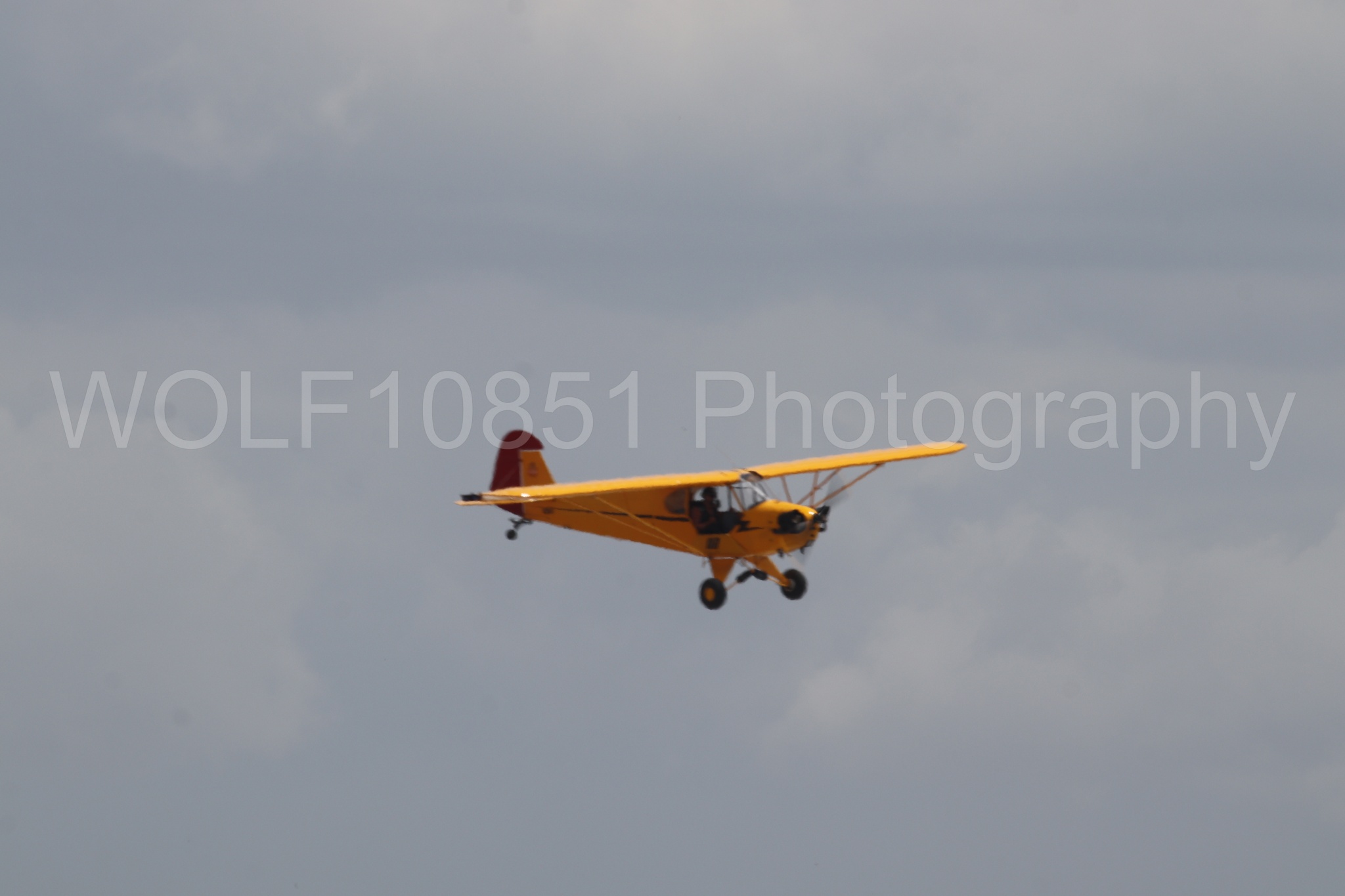 Piper J-3 Cub | Tucker Air Patrol | WOLF10851 Photography