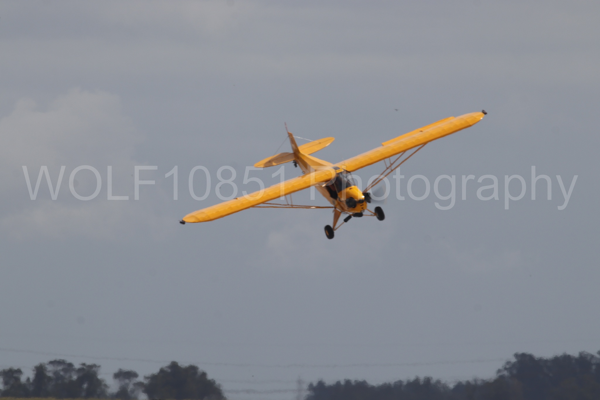 Piper J-3 Cub | Tucker Air Patrol | WOLF10851 Photography