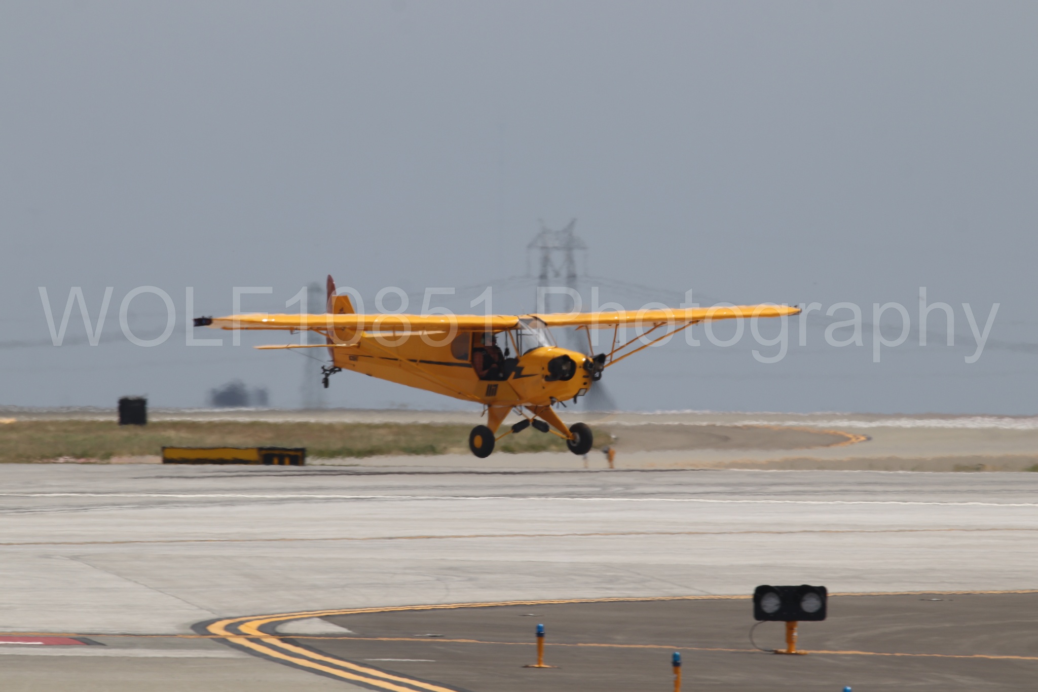 Piper J-3 Cub | Tucker Air Patrol | WOLF10851 Photography