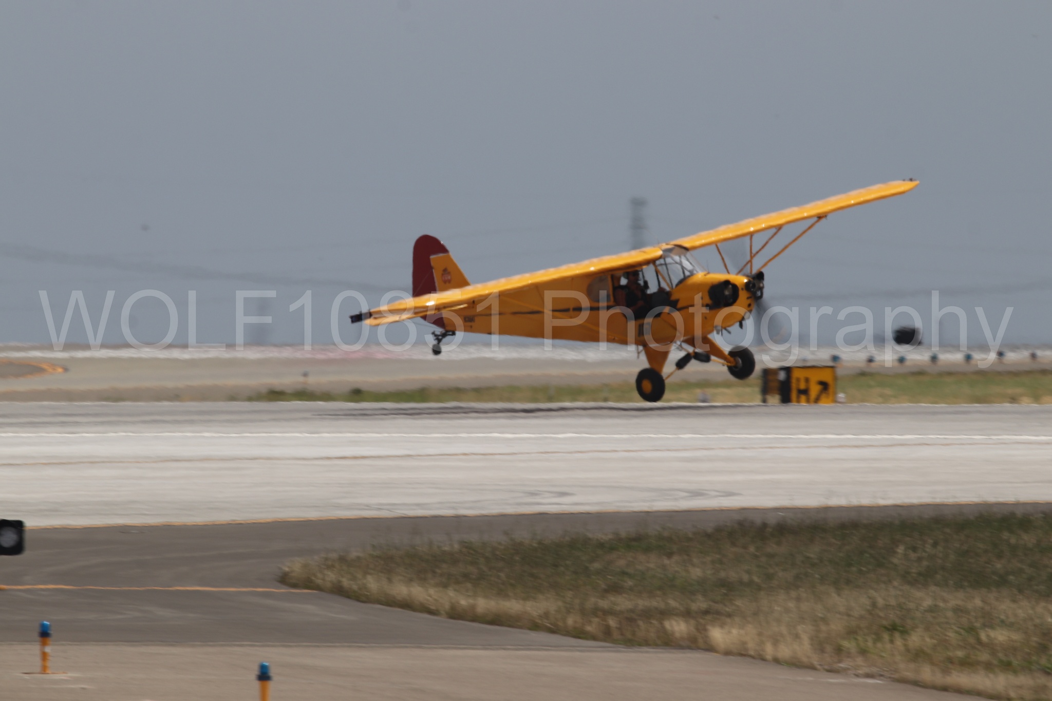 Piper J-3 Cub | Tucker Air Patrol | WOLF10851 Photography
