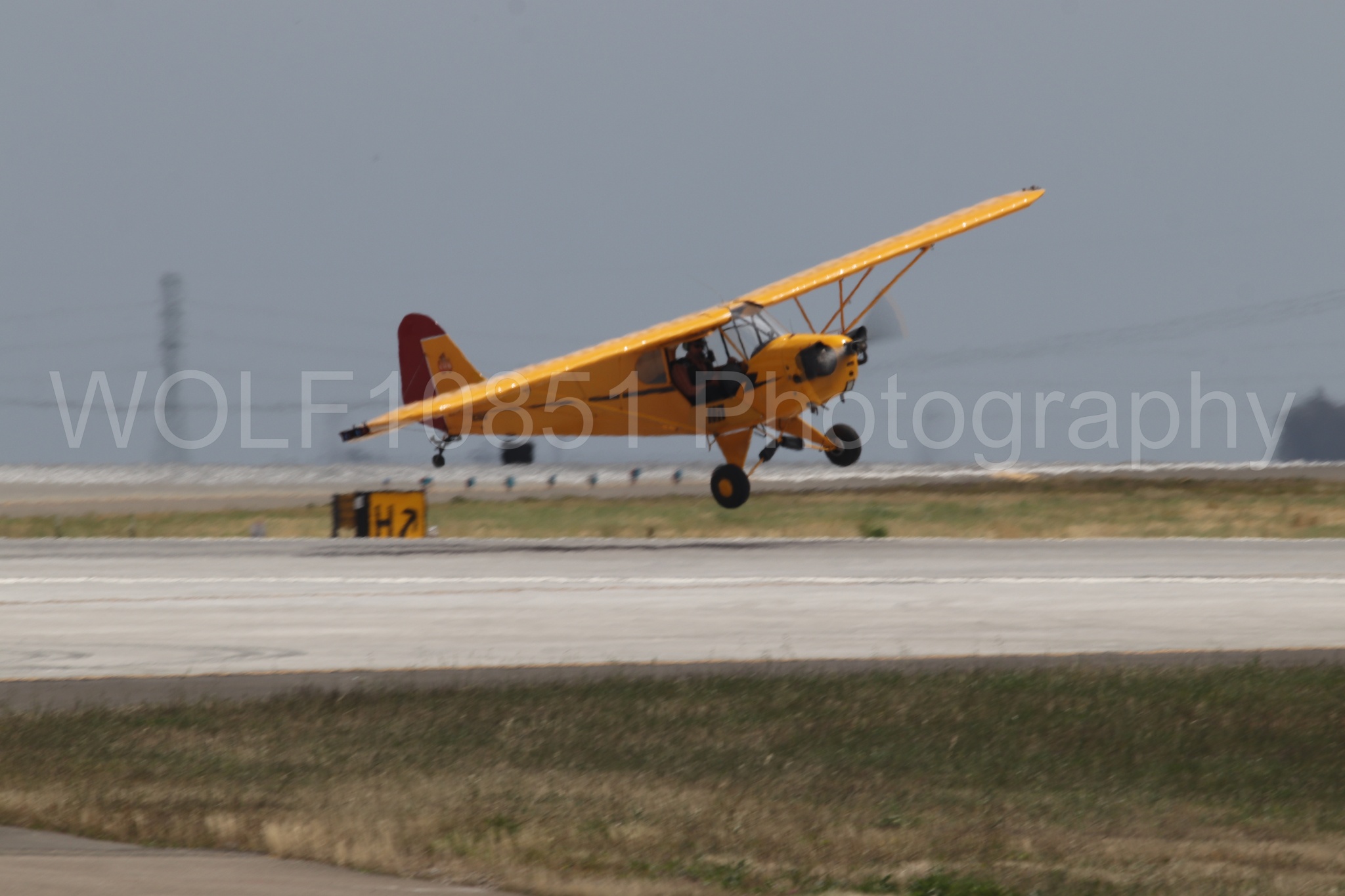 Piper J-3 Cub | Tucker Air Patrol | WOLF10851 Photography