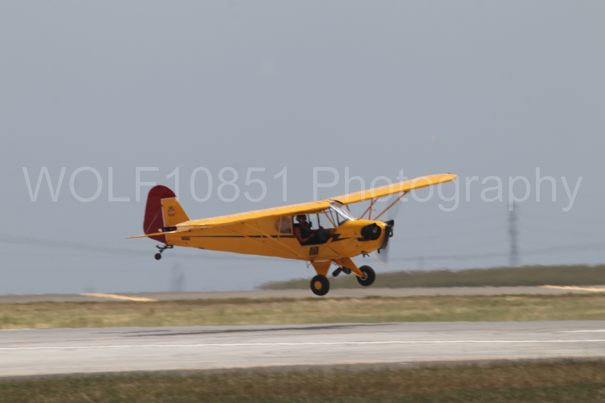 Piper J-3 Cub | Tucker Air Patrol | WOLF10851 Photography