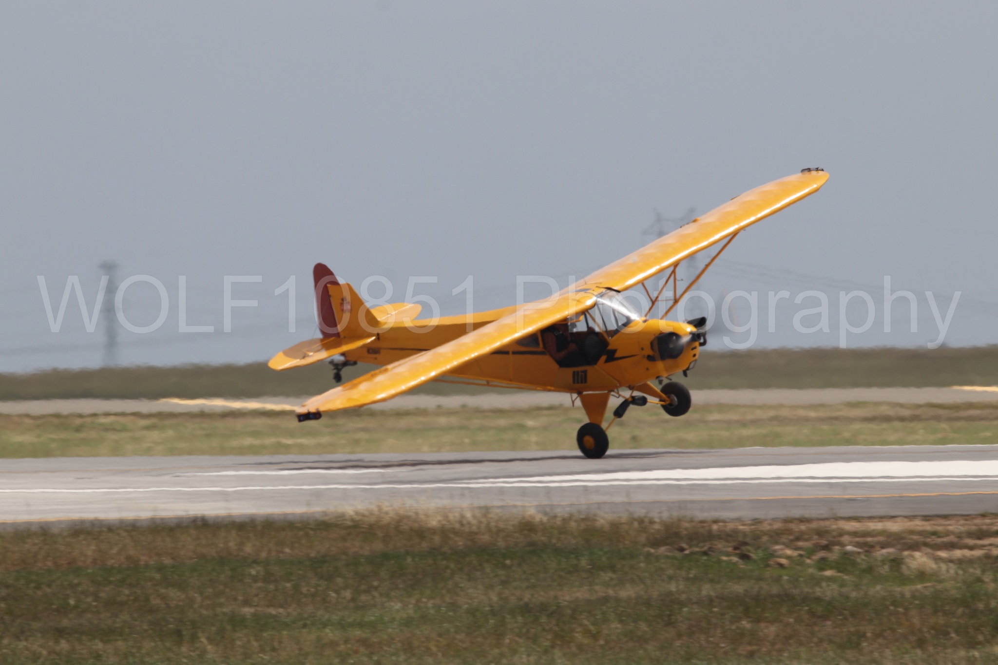 Piper J-3 Cub | Tucker Air Patrol | WOLF10851 Photography