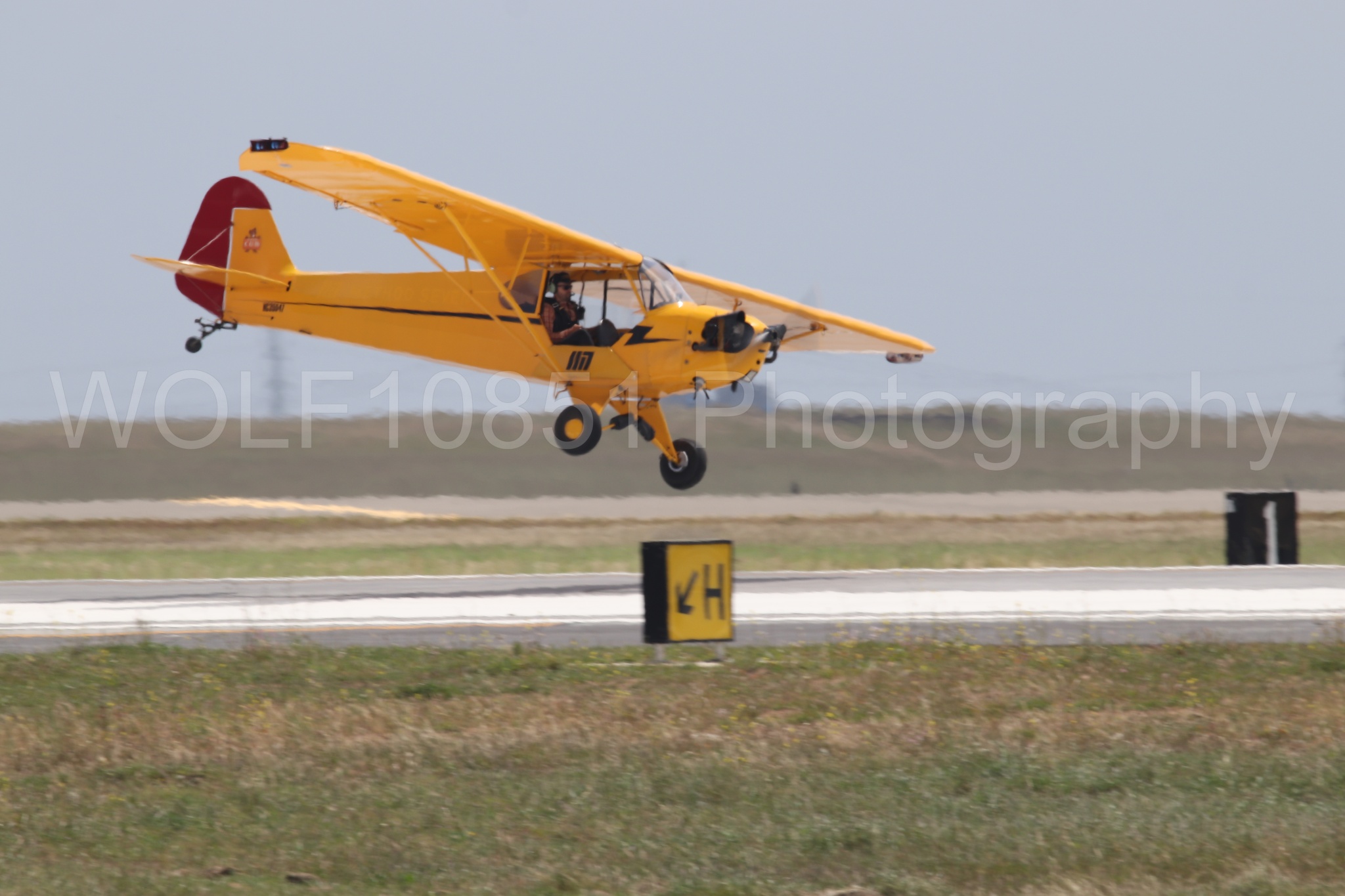 Piper J-3 Cub | Tucker Air Patrol | WOLF10851 Photography