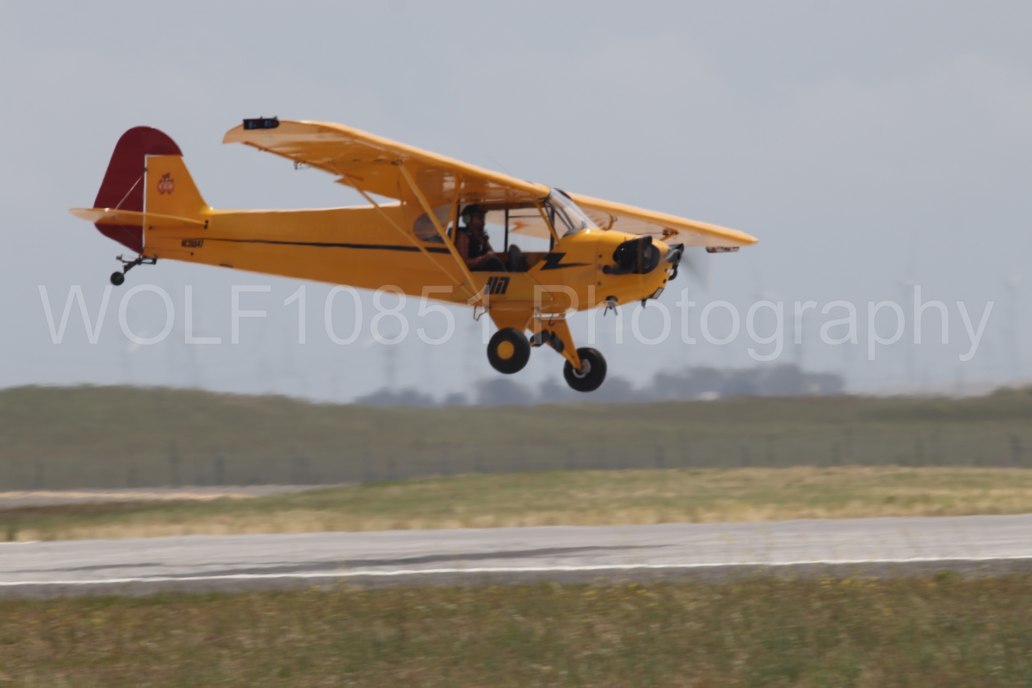Piper J-3 Cub | Tucker Air Patrol | WOLF10851 Photography