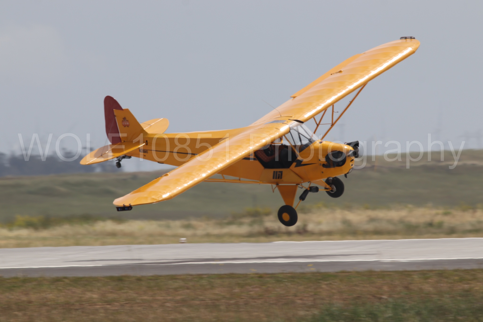 Piper J-3 Cub | Tucker Air Patrol | WOLF10851 Photography