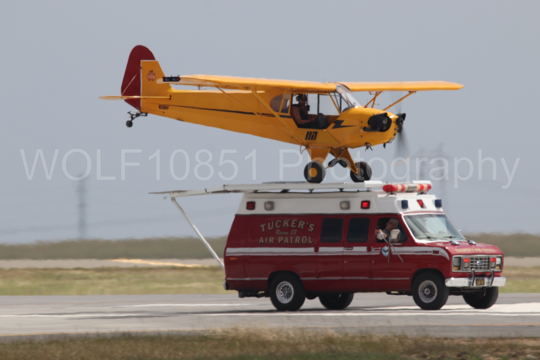 Piper J-3 Cub | Tucker Air Patrol | WOLF10851 Photography