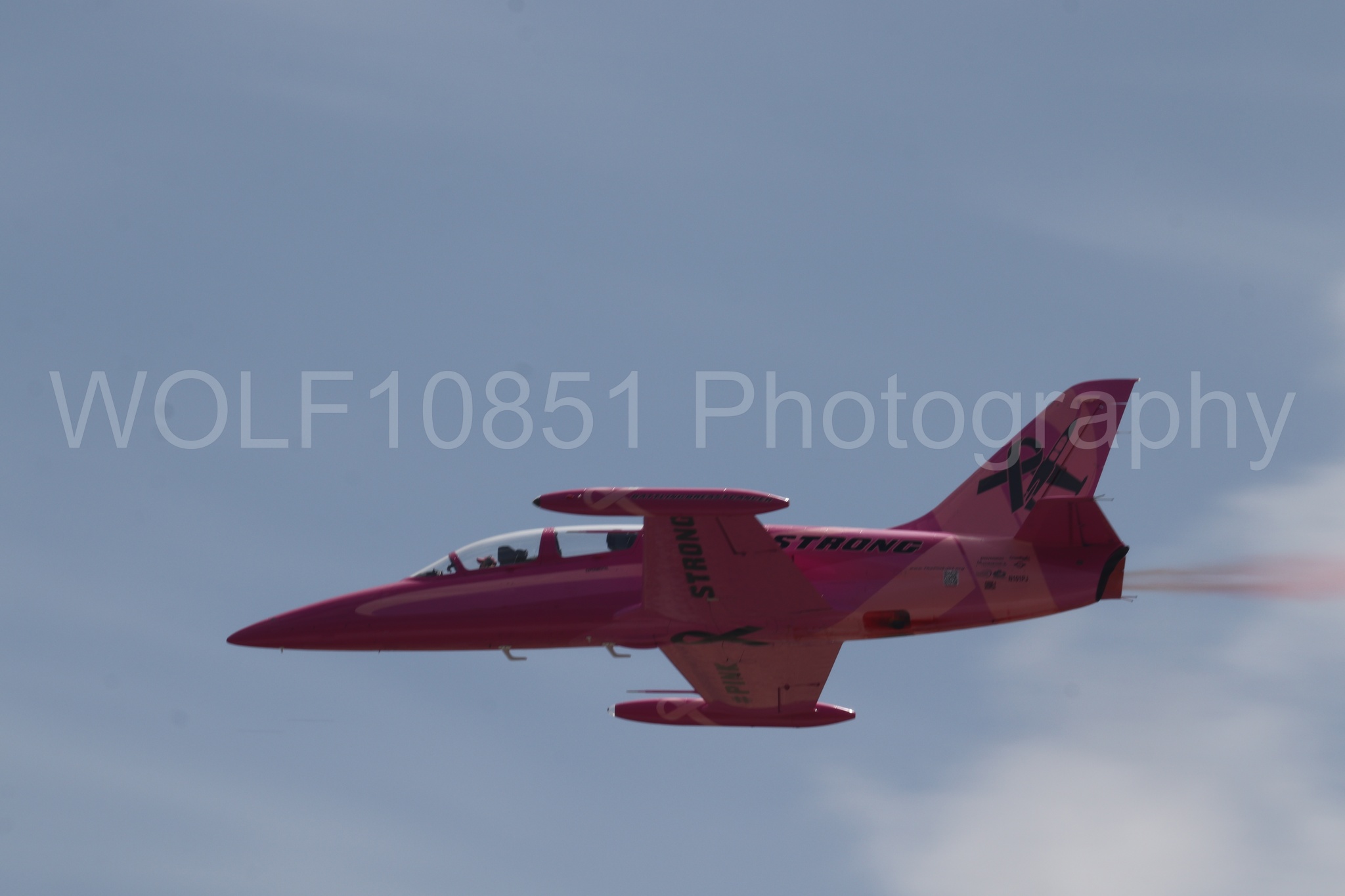 L-39 Albatros | WOLF10851 Photography