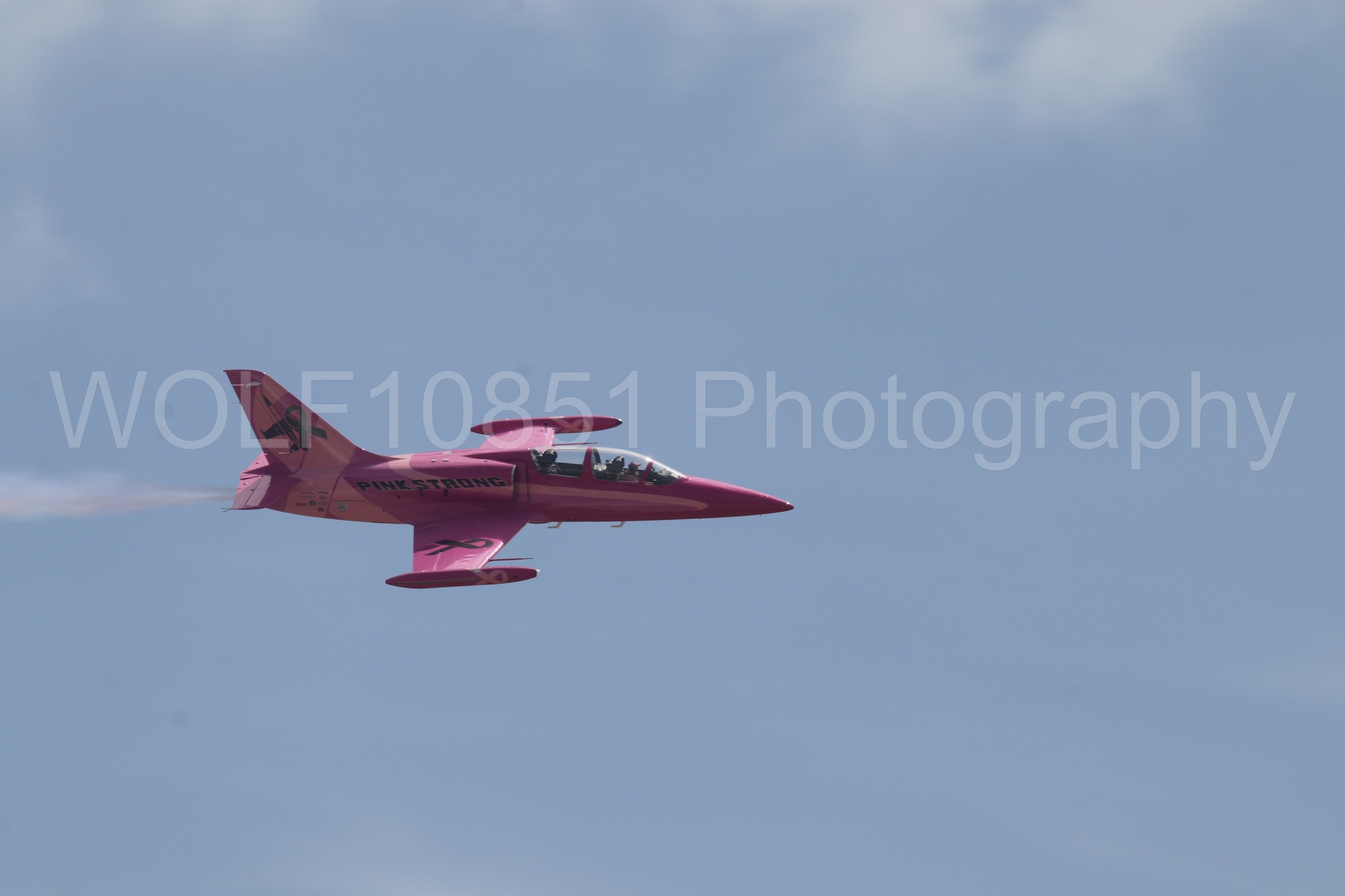 L-39 Albatros | WOLF10851 Photography