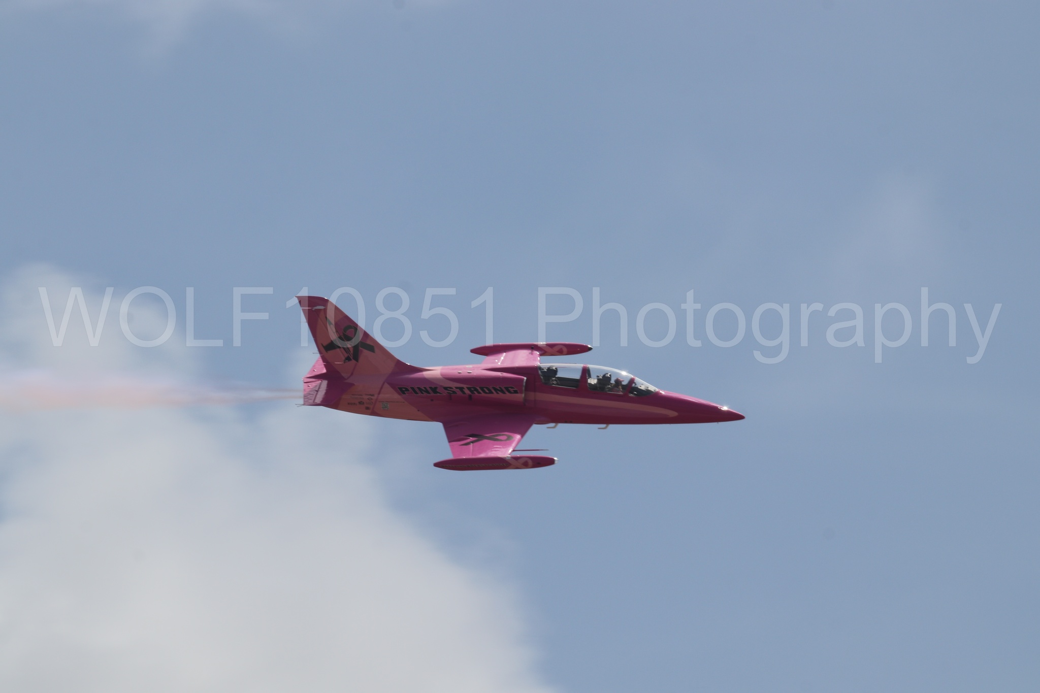 L-39 Albatros | WOLF10851 Photography