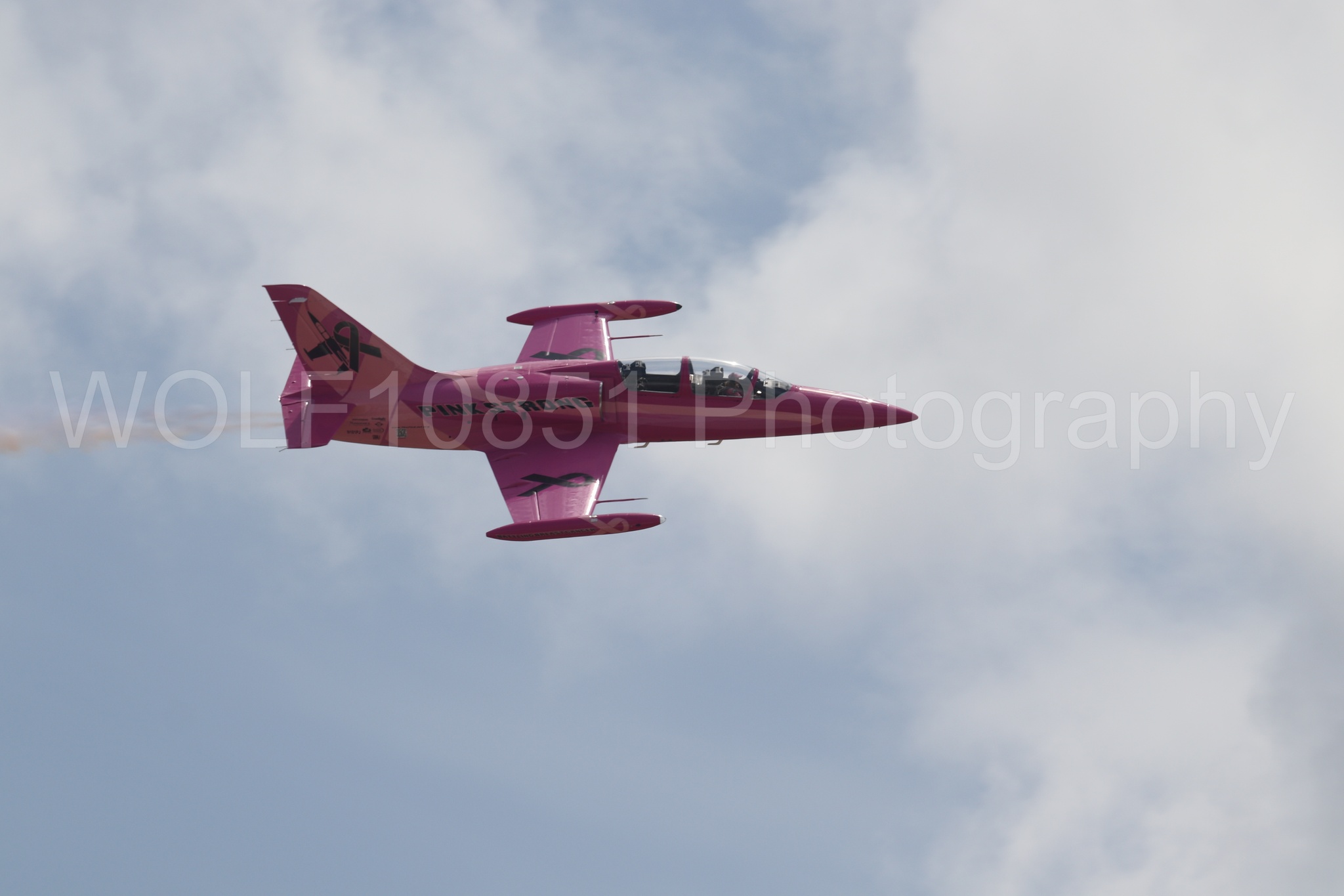 L-39 Albatros | WOLF10851 Photography