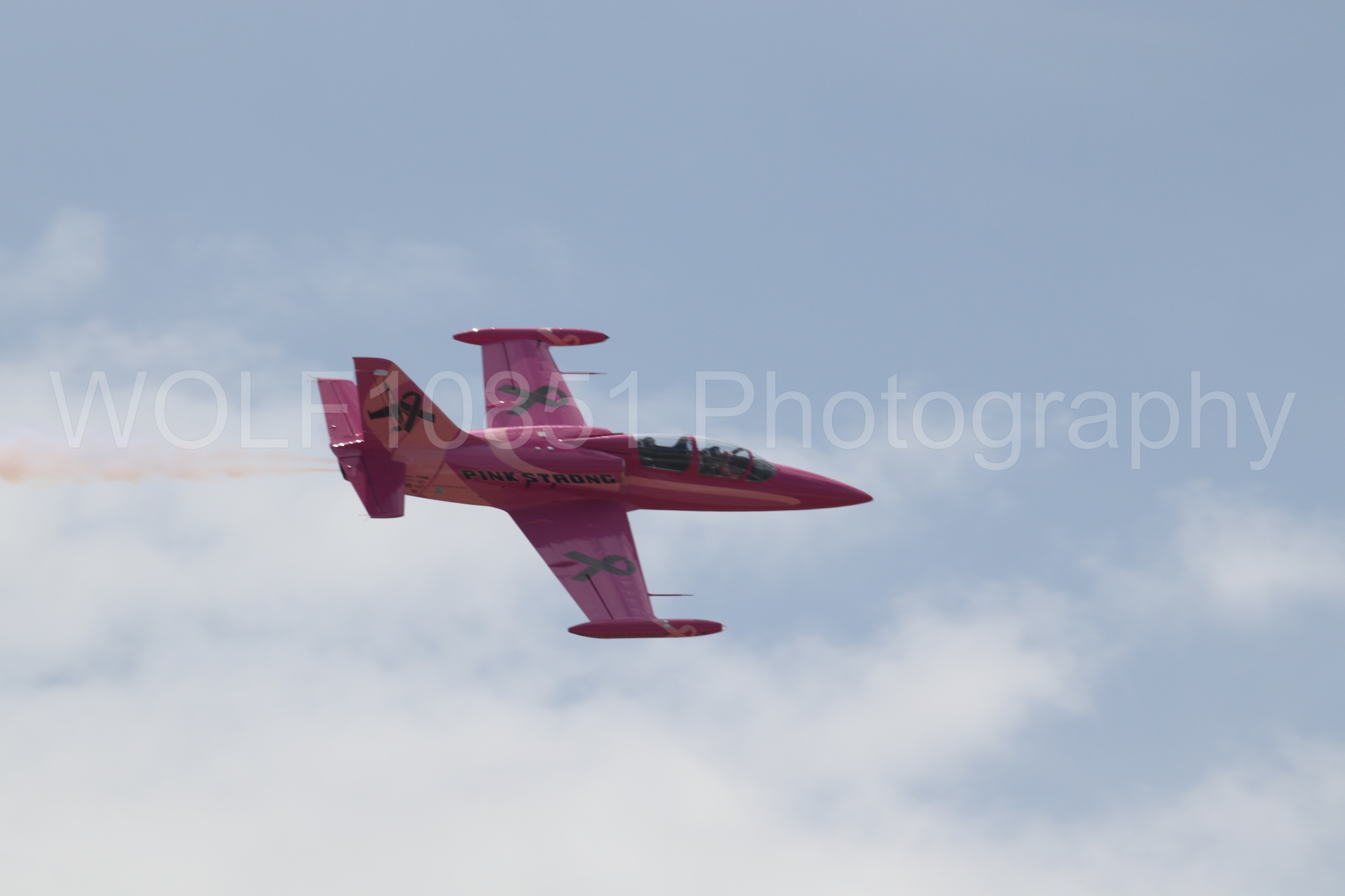 L-39 Albatros | WOLF10851 Photography