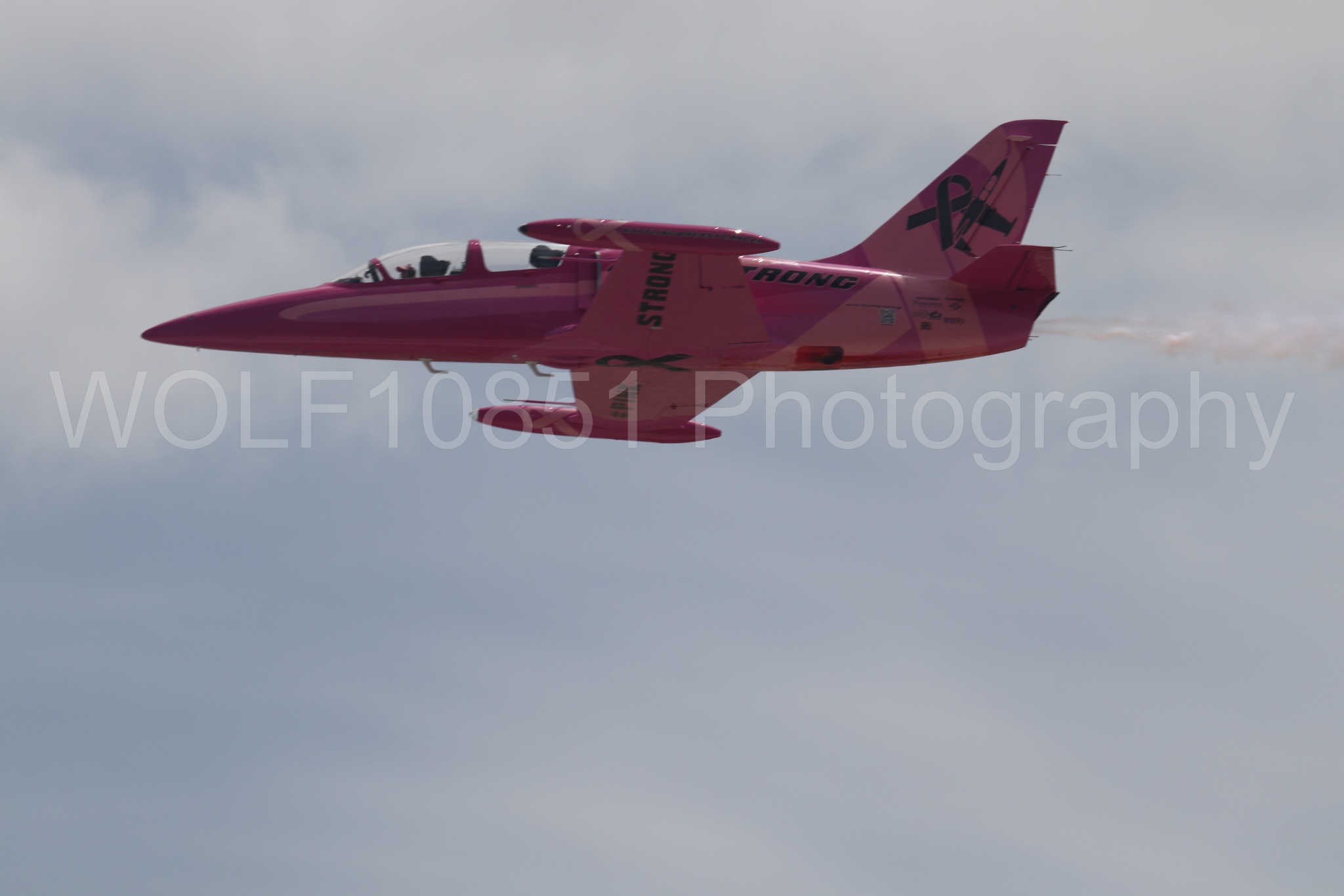 L-39 Albatros | WOLF10851 Photography