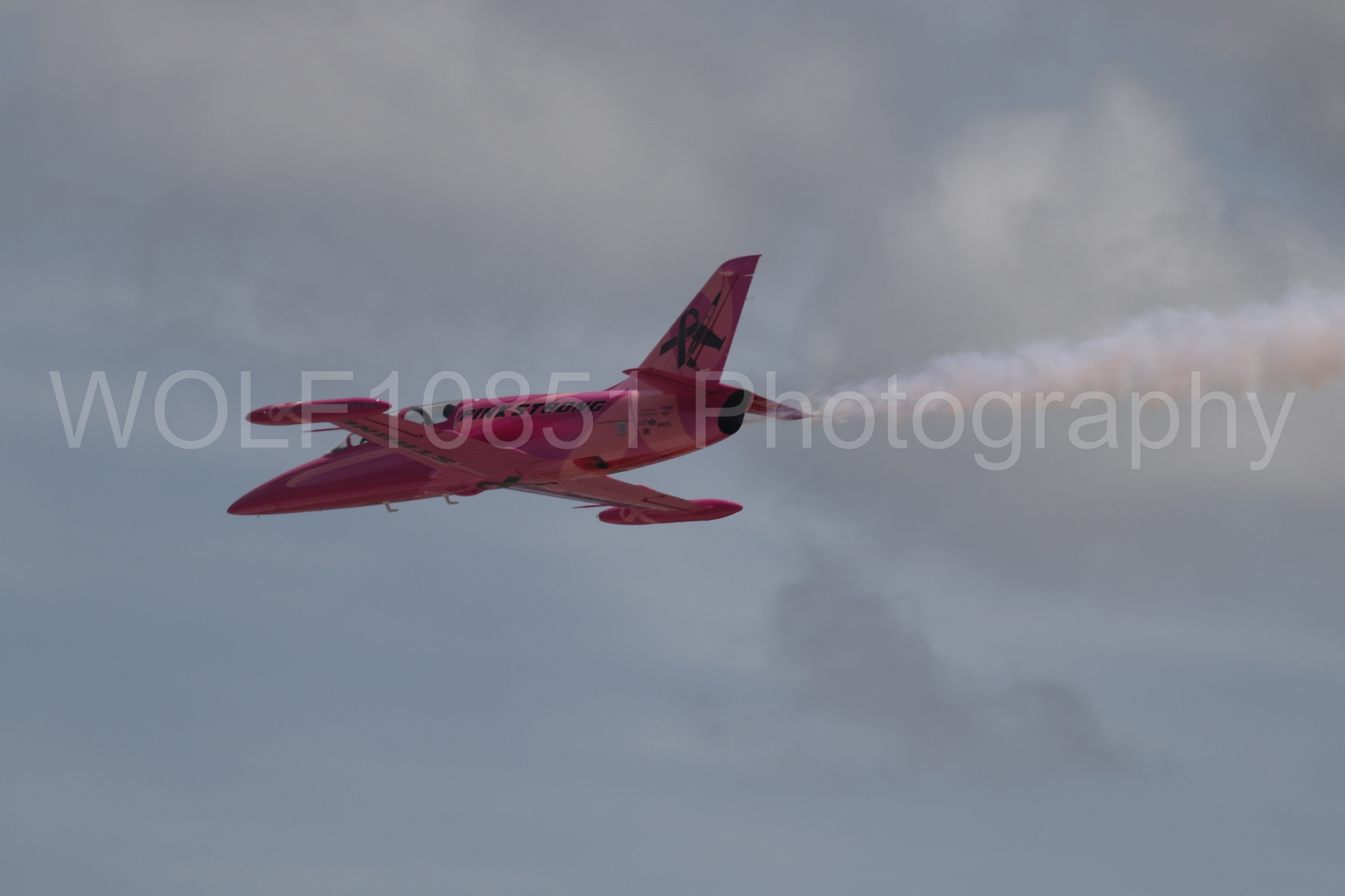 L-39 Albatros | WOLF10851 Photography
