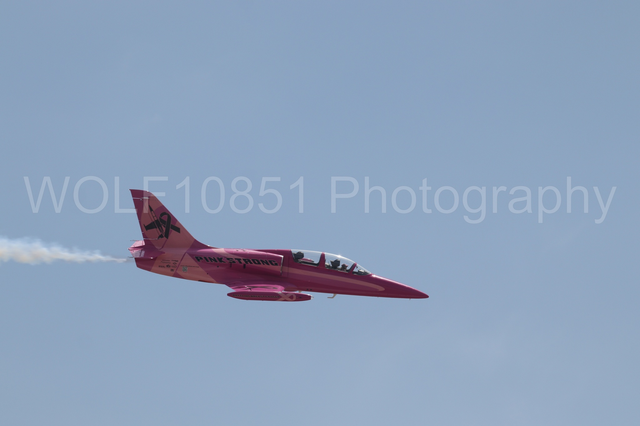 L-39 Albatros | WOLF10851 Photography
