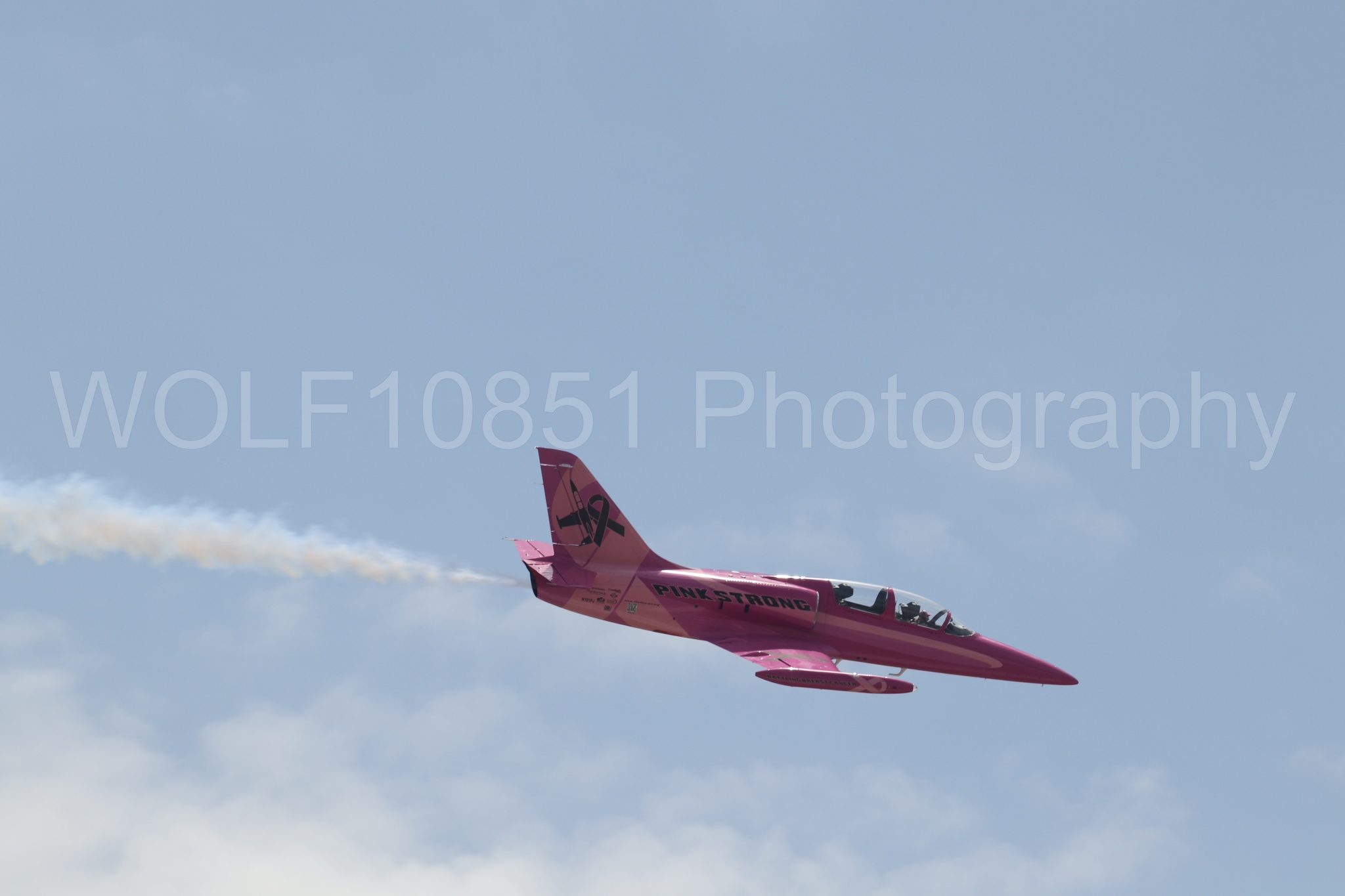 L-39 Albatros | WOLF10851 Photography