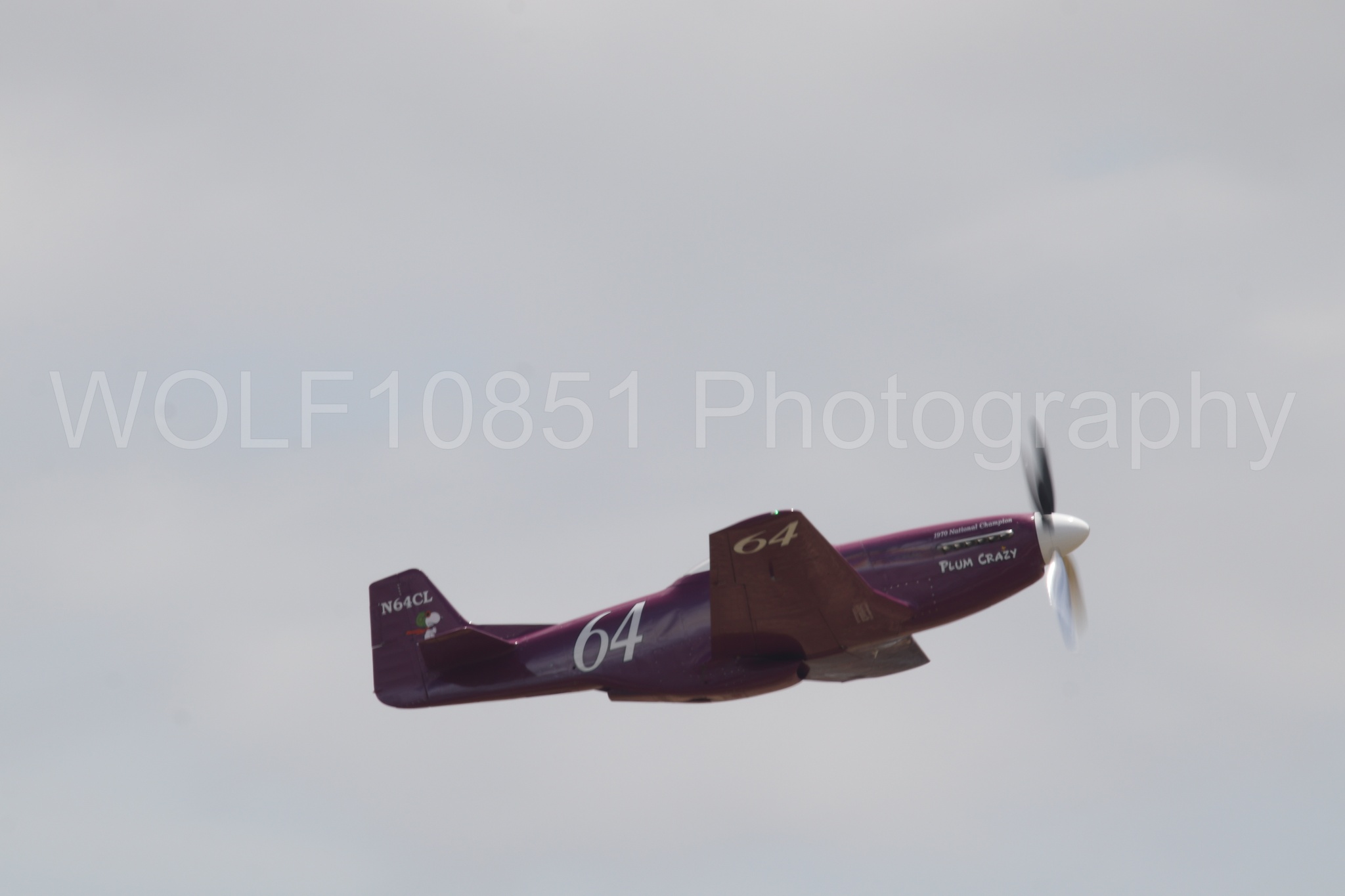 P-51 Mustang | Vicky Benzing | WOLF10851 Photography