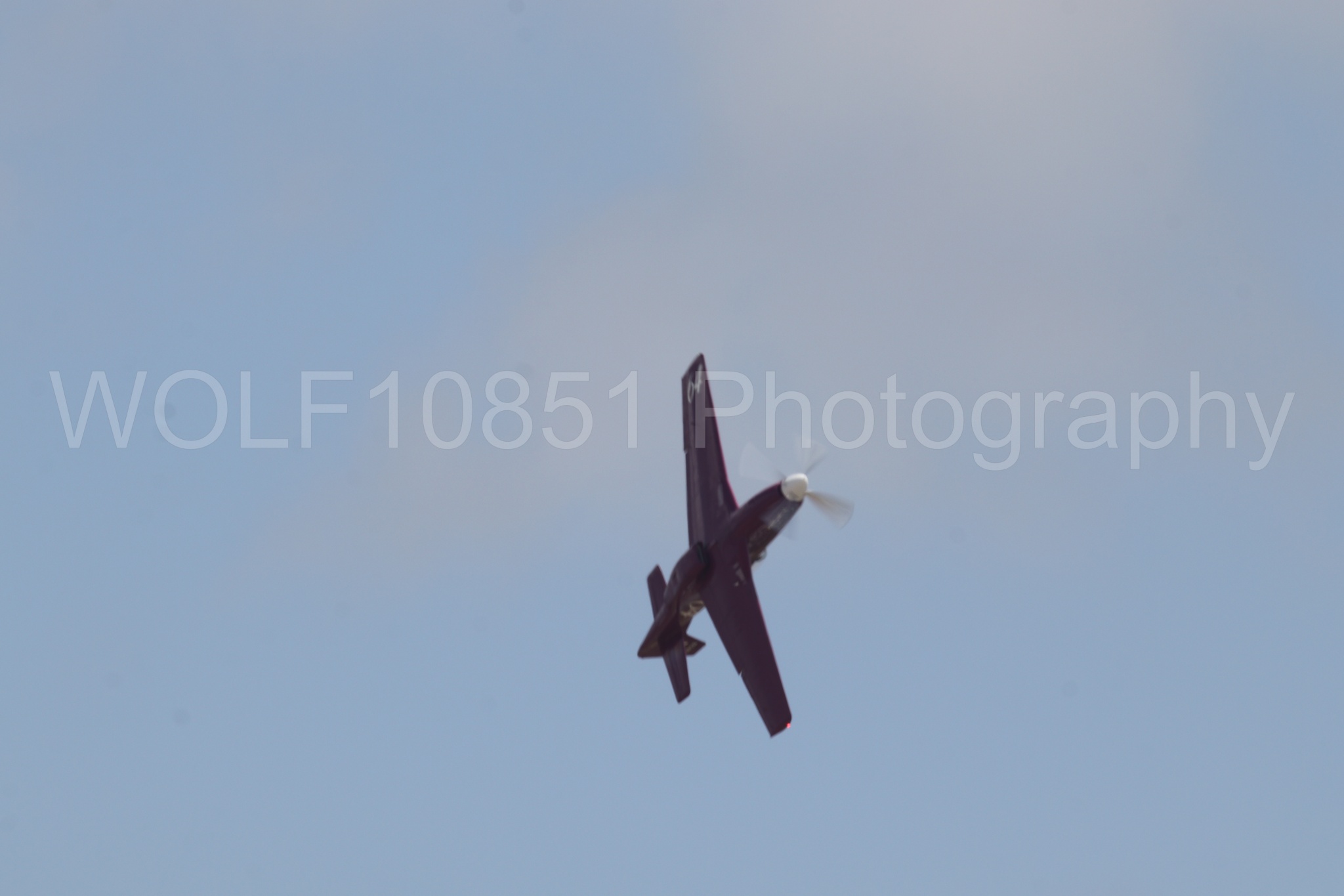 P-51 Mustang | Vicky Benzing | WOLF10851 Photography
