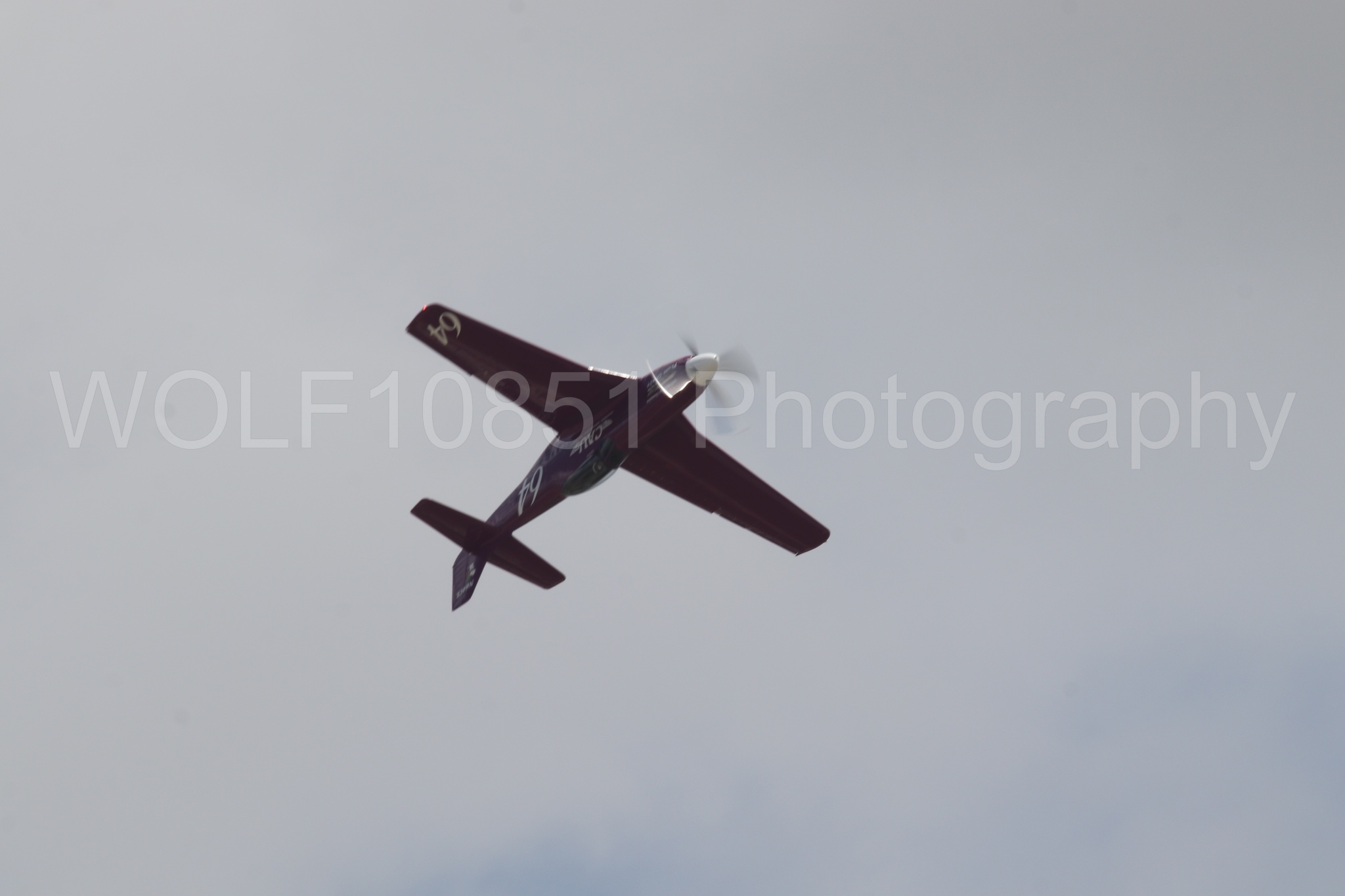 P-51 Mustang | Vicky Benzing | WOLF10851 Photography