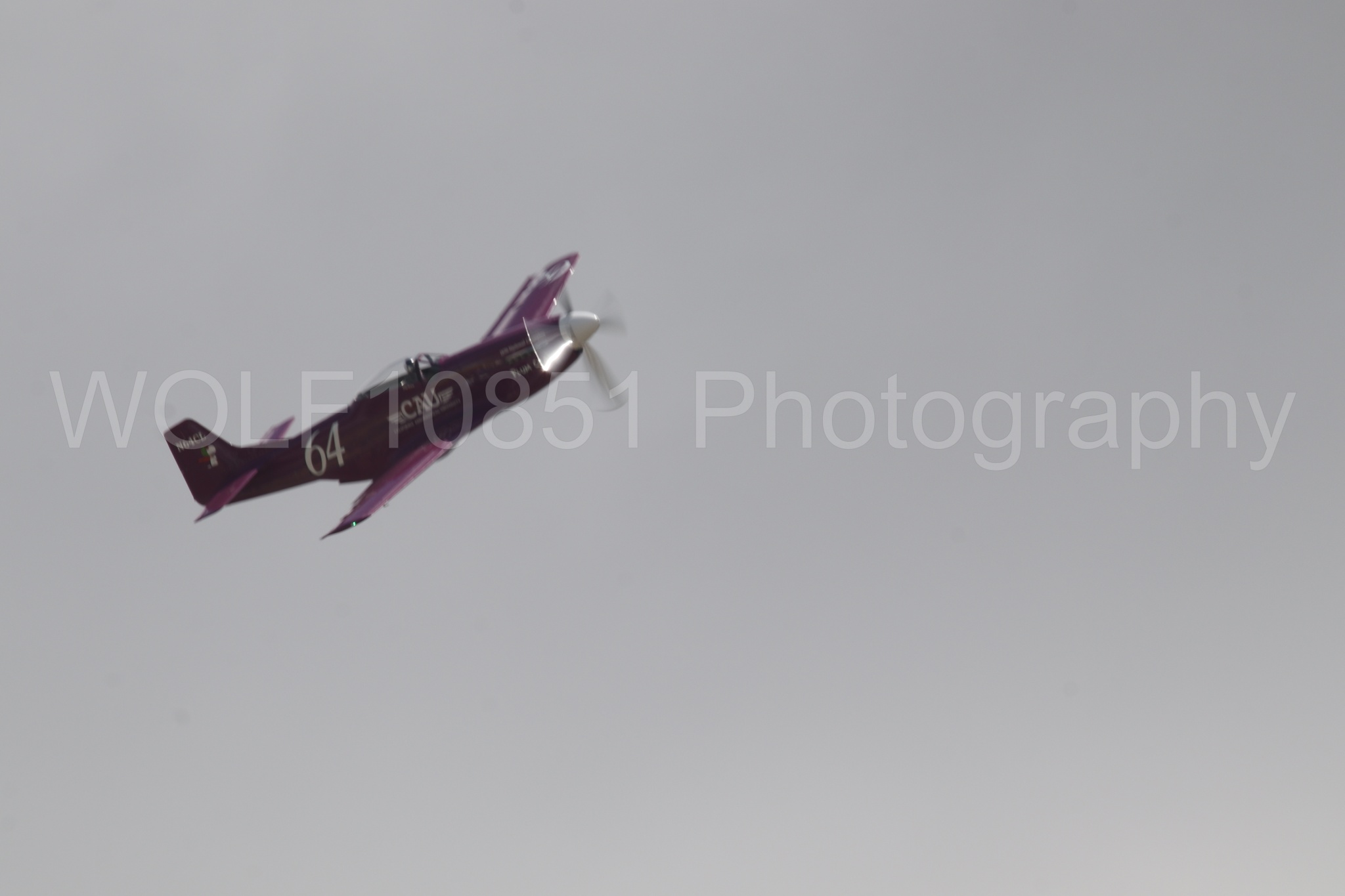 P-51 Mustang | Vicky Benzing | WOLF10851 Photography