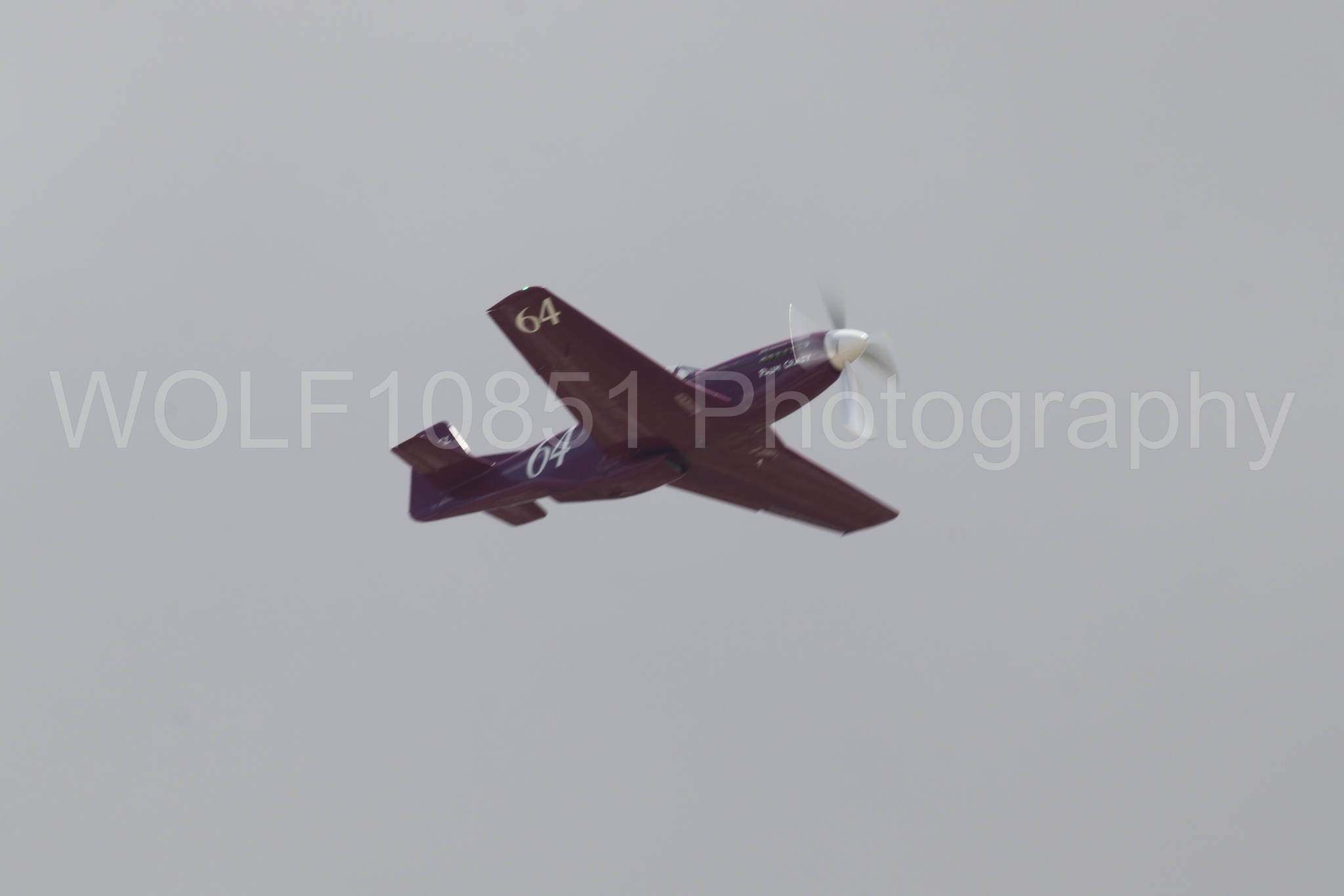 P-51 Mustang | Vicky Benzing | WOLF10851 Photography