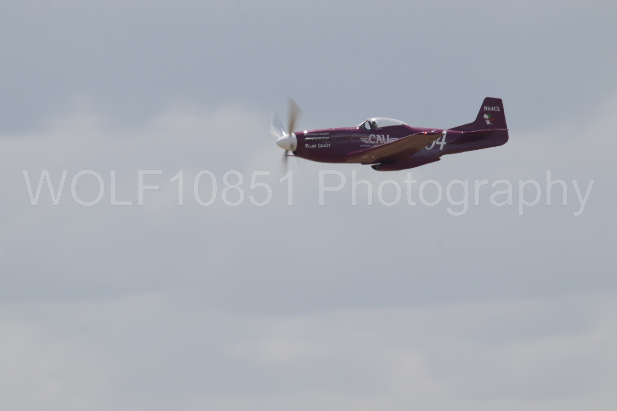 P-51 Mustang | Vicky Benzing | WOLF10851 Photography