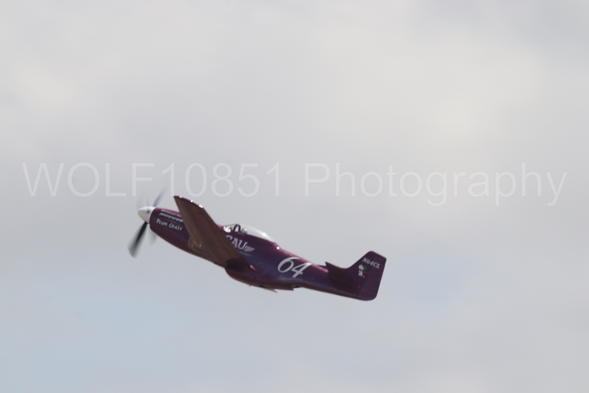 P-51 Mustang | Vicky Benzing | WOLF10851 Photography