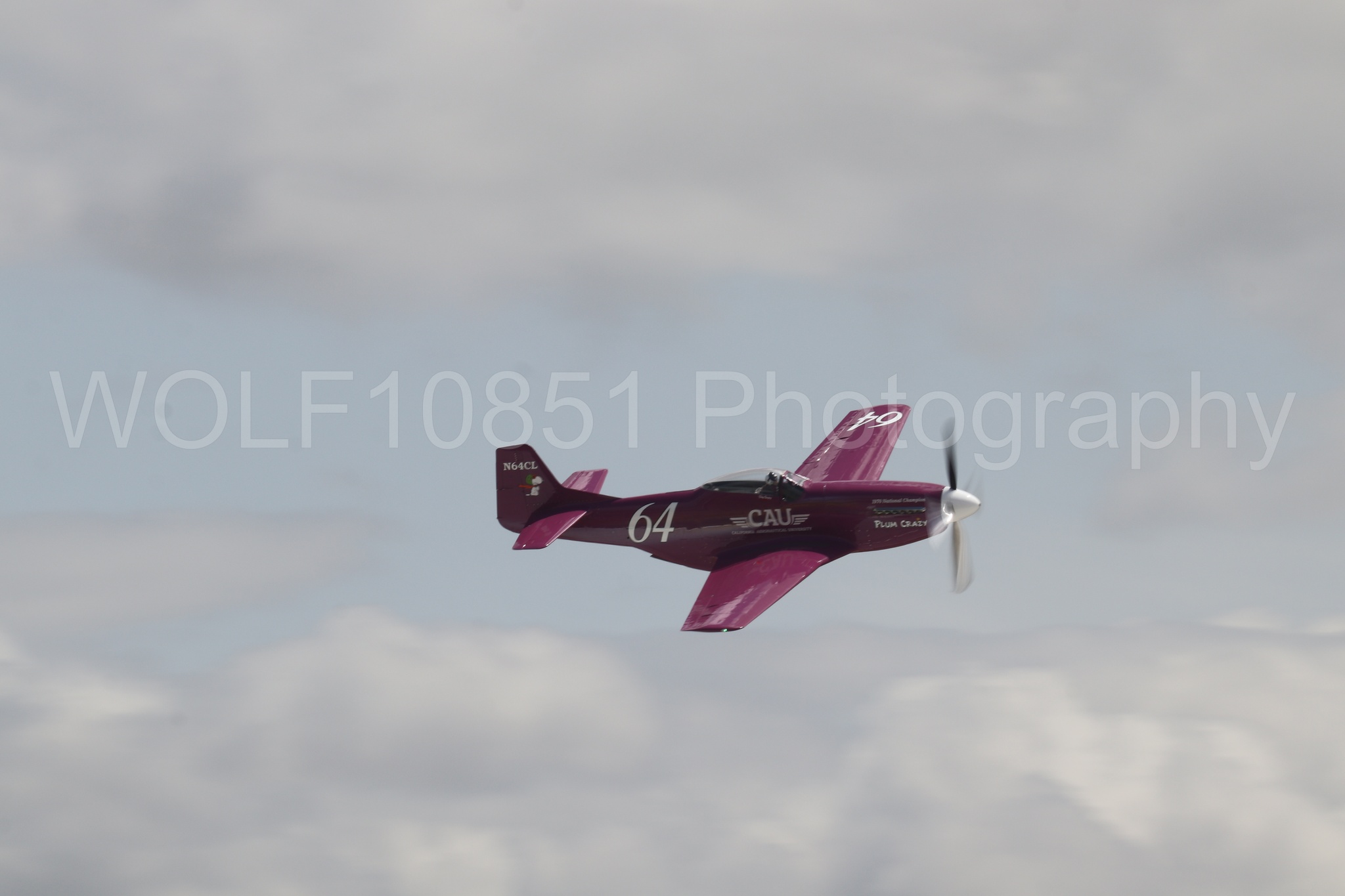 P-51 Mustang | Vicky Benzing | WOLF10851 Photography