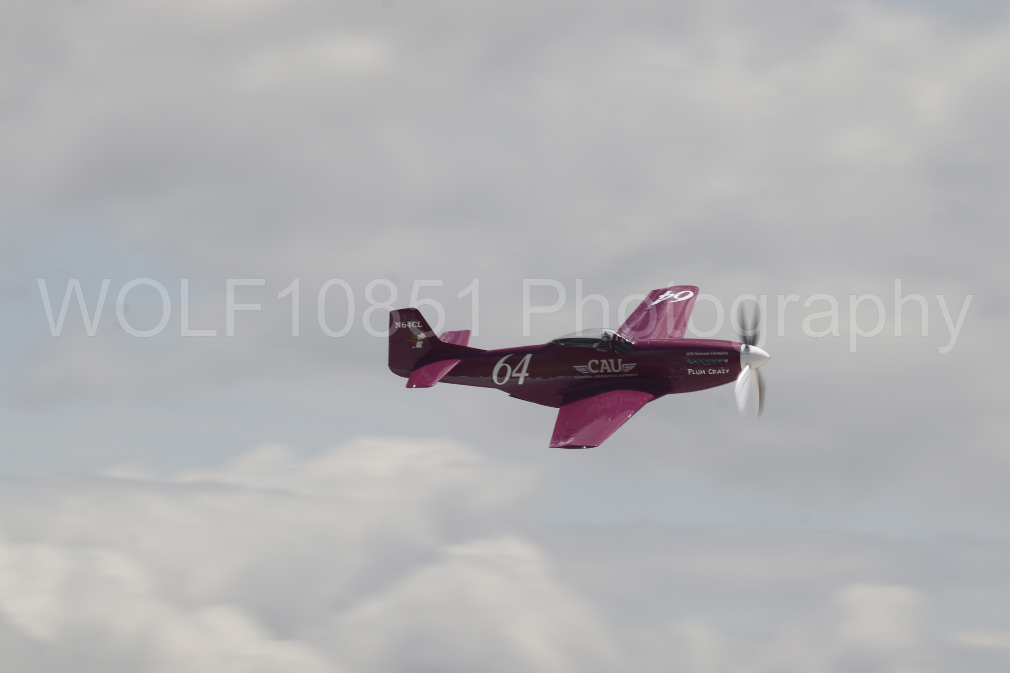 P-51 Mustang | Vicky Benzing | WOLF10851 Photography