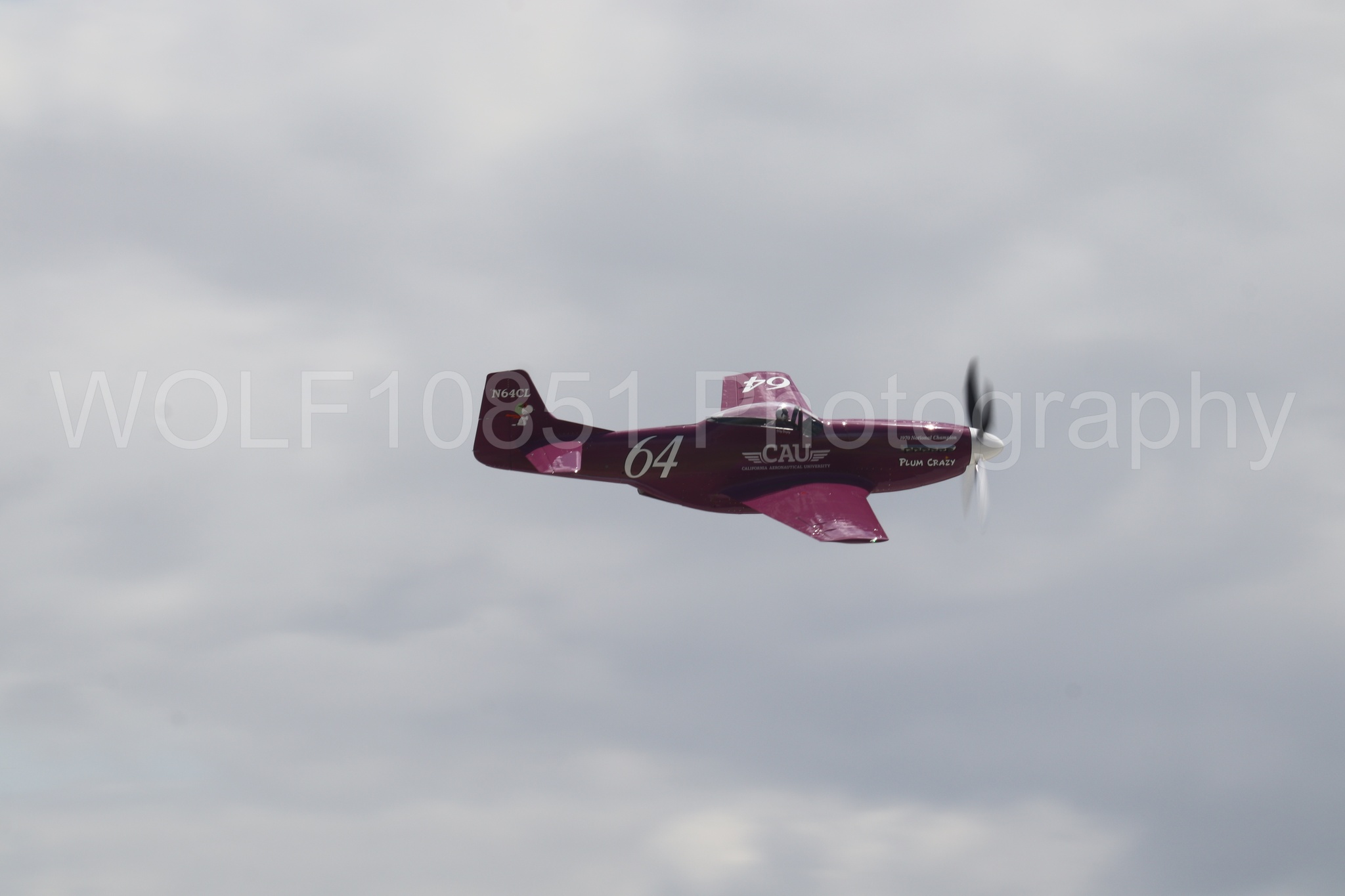 P-51 Mustang | Vicky Benzing | WOLF10851 Photography