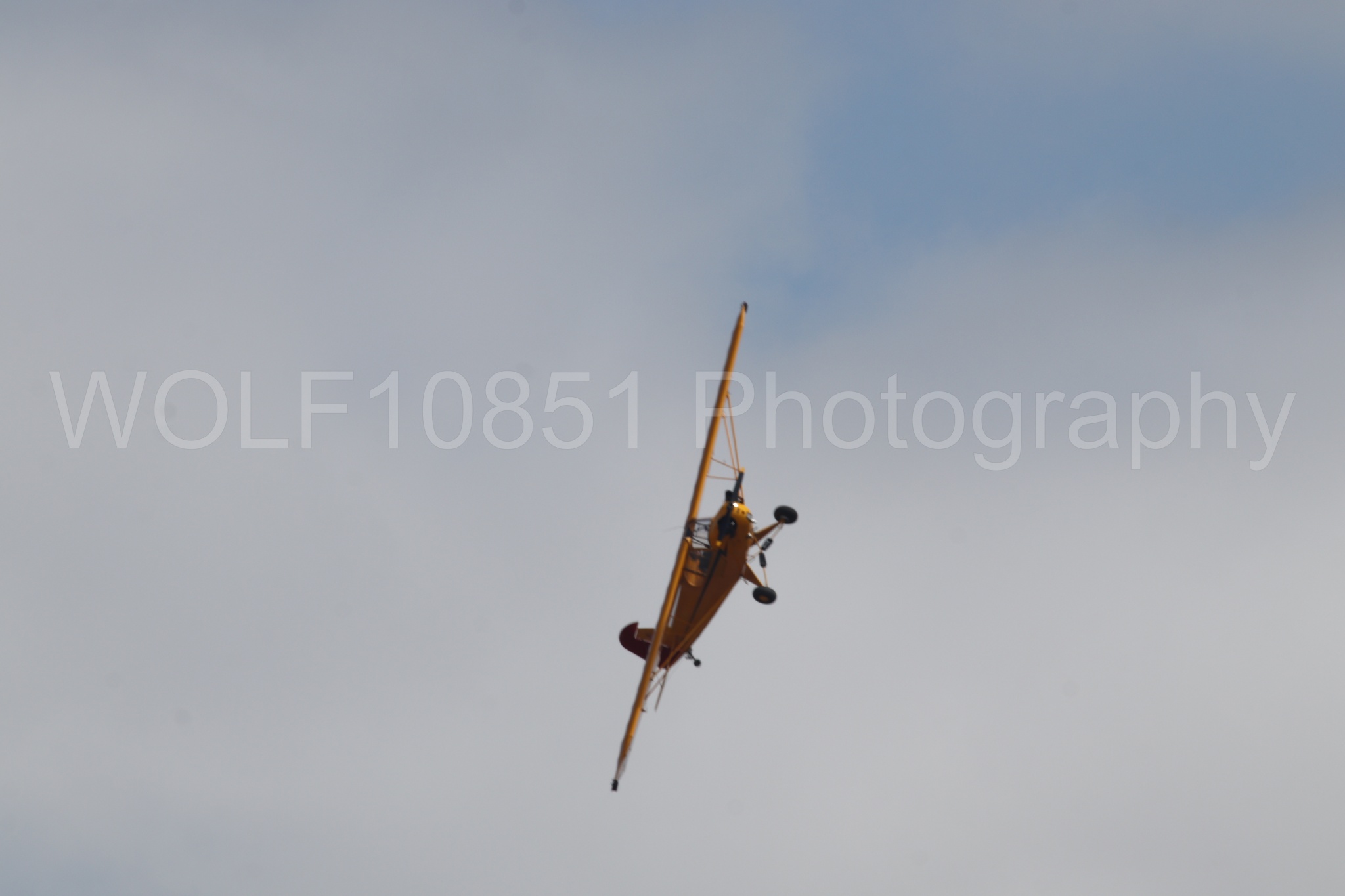 Piper J-3 Cub | Tucker Air Patrol | WOLF10851 Photography