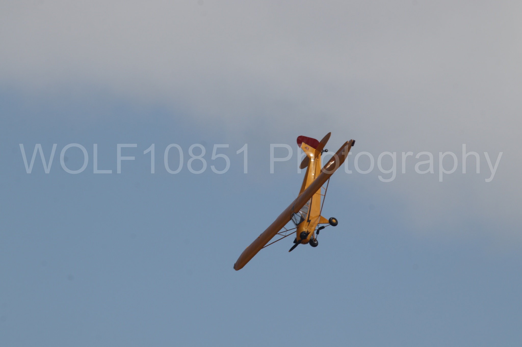 Piper J-3 Cub | Tucker Air Patrol | WOLF10851 Photography