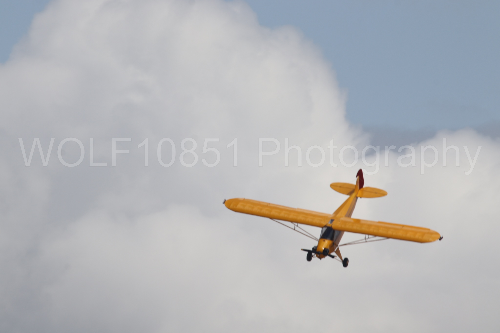 Piper J-3 Cub | Tucker Air Patrol | WOLF10851 Photography